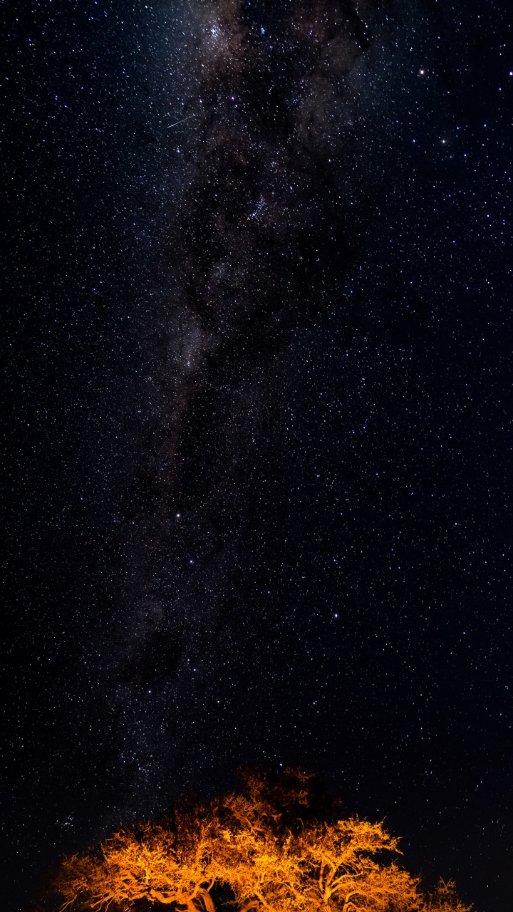 明星, 银河系, 天文学, 黑色的, 自然景观 壁纸 720x1280 允许