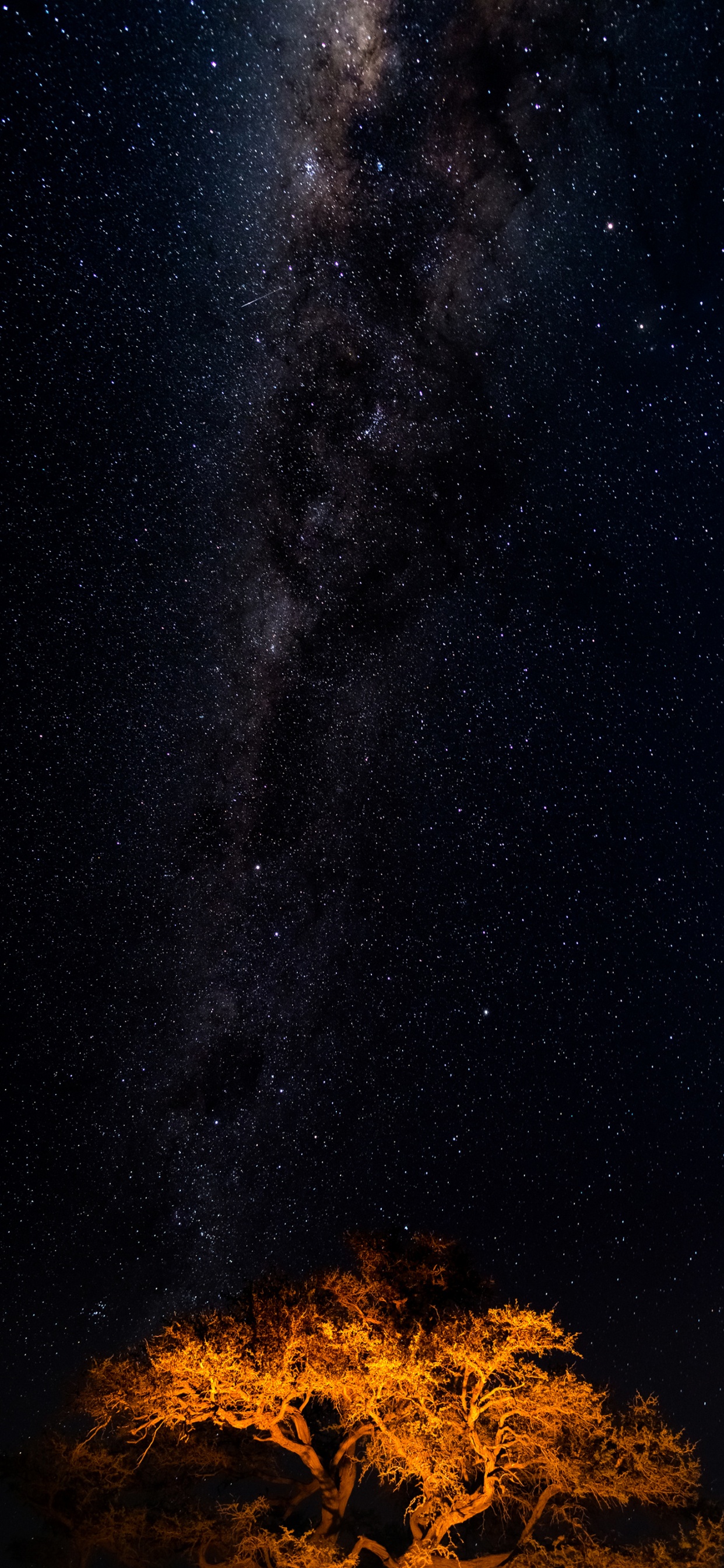 Star, Milky Way, Galaxy, Astronomy, Celestial Object. Wallpaper in 1242x2688 Resolution