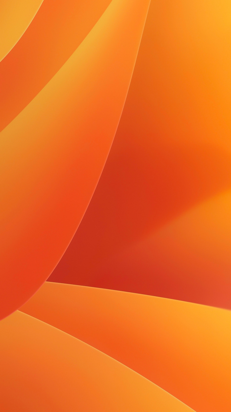 Orange, Text, Amber, Material Property, Tints and Shades. Wallpaper in 750x1334 Resolution