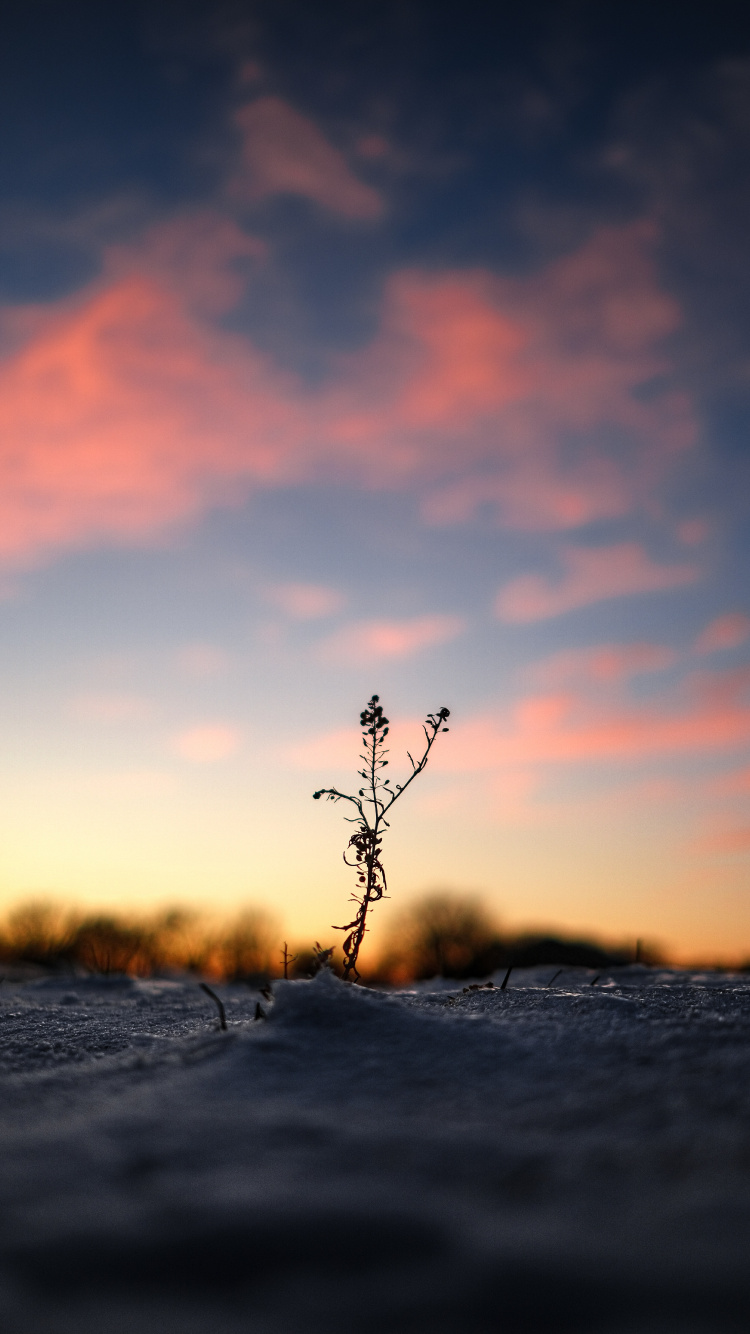Eau, Horizon, Nature, Mer, Paysage Naturel. Wallpaper in 750x1334 Resolution