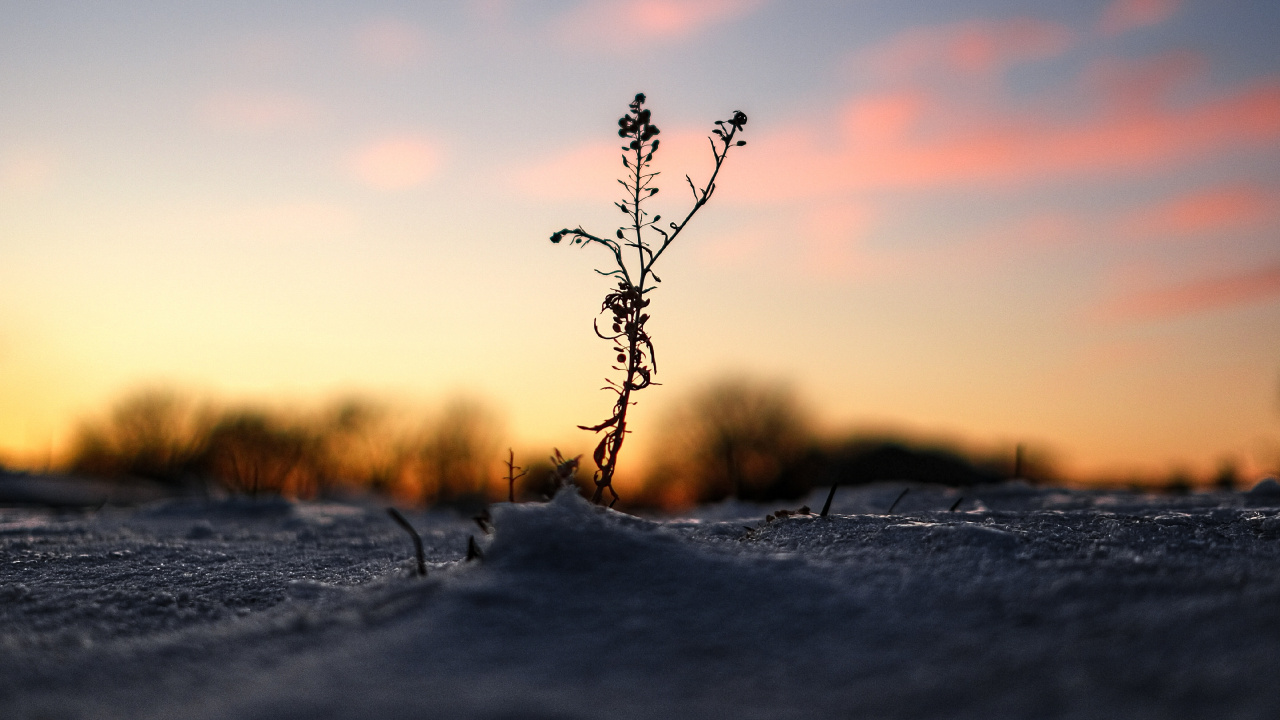 Sunset, Water, Horizon, Nature, Cloud. Wallpaper in 1280x720 Resolution