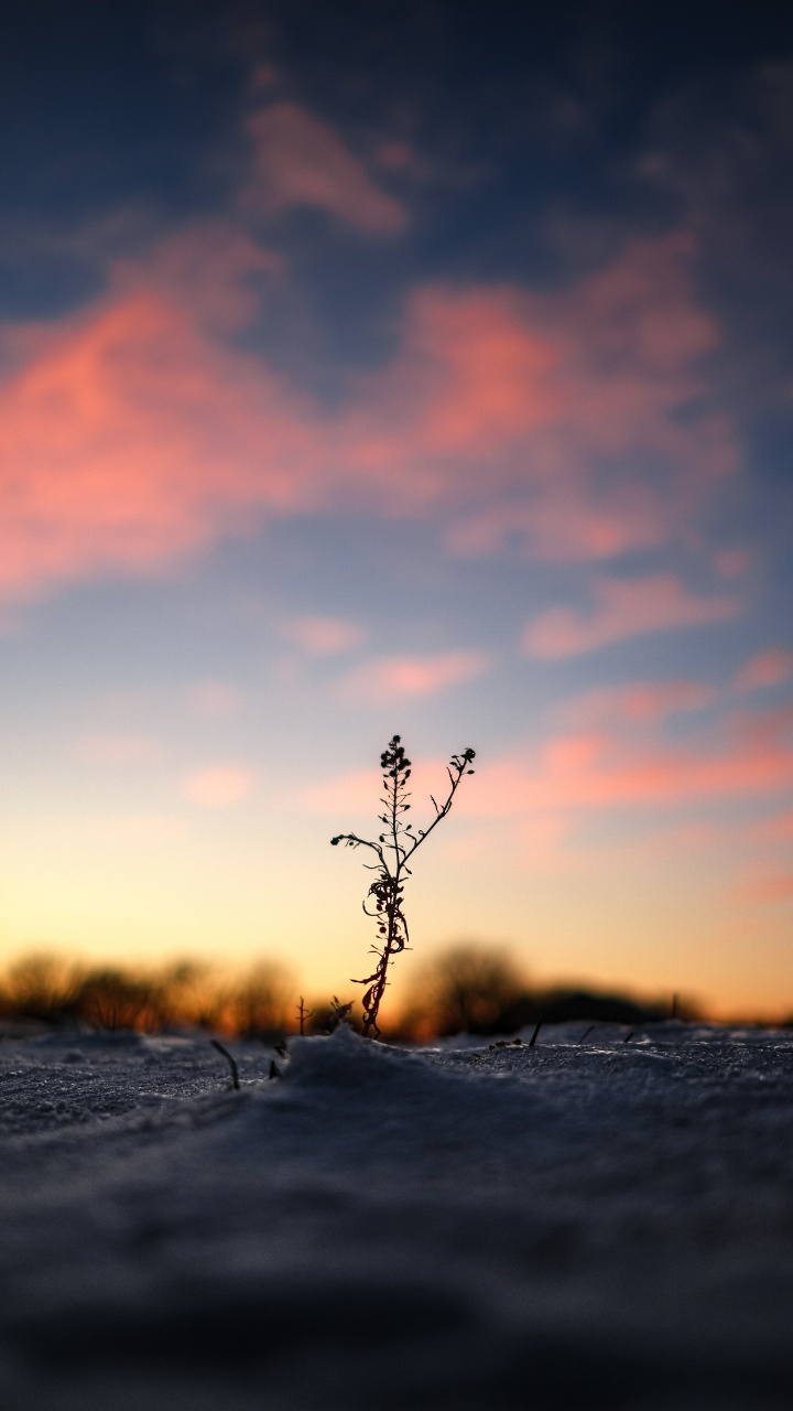 Sonnenuntergang, Wasser, Horizont, Natur, Cloud. Wallpaper in 720x1280 Resolution