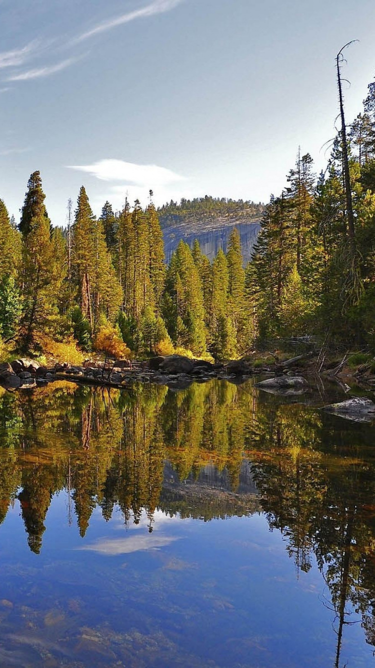 反射, 性质, 荒野, 自然保护区, 植被 壁纸 750x1334 允许