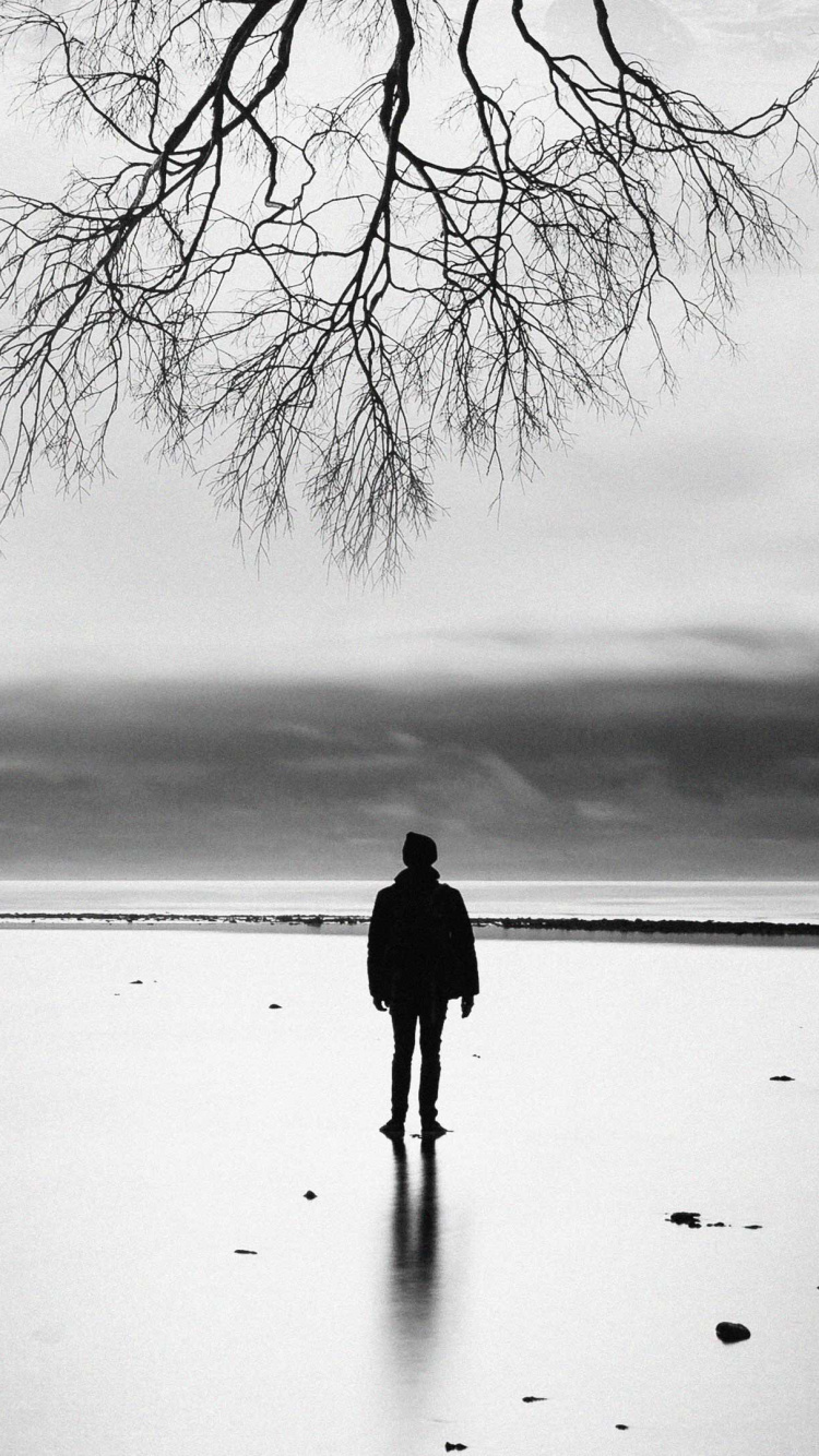 Hombre de Chaqueta Negra de Pie Sobre un Suelo Cubierto de Nieve Cerca de un Árbol Desnudo Durante el Día. Wallpaper in 750x1334 Resolution