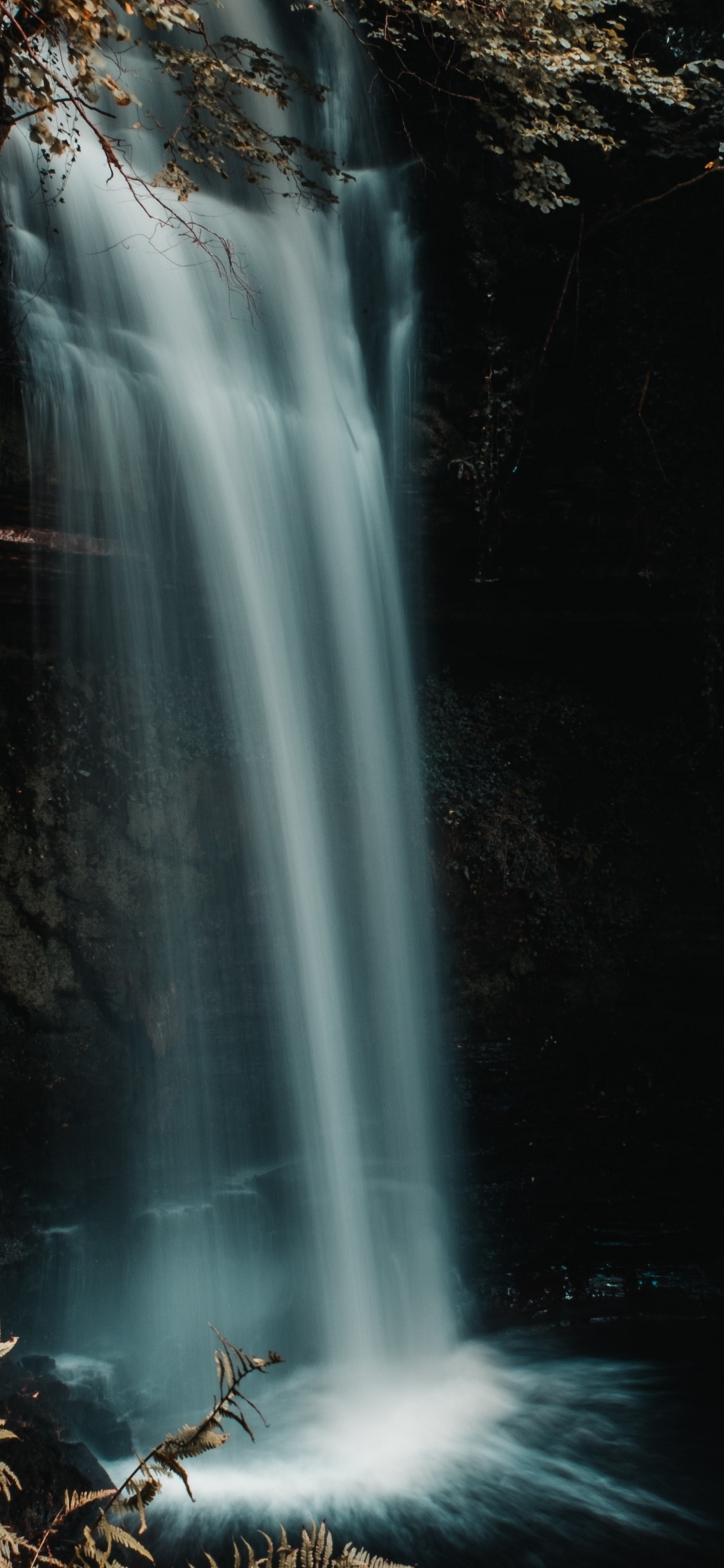 Nature, Paysage Naturel, Les Ressources en Eau, Cours D'eau, Hamburger. Wallpaper in 1125x2436 Resolution