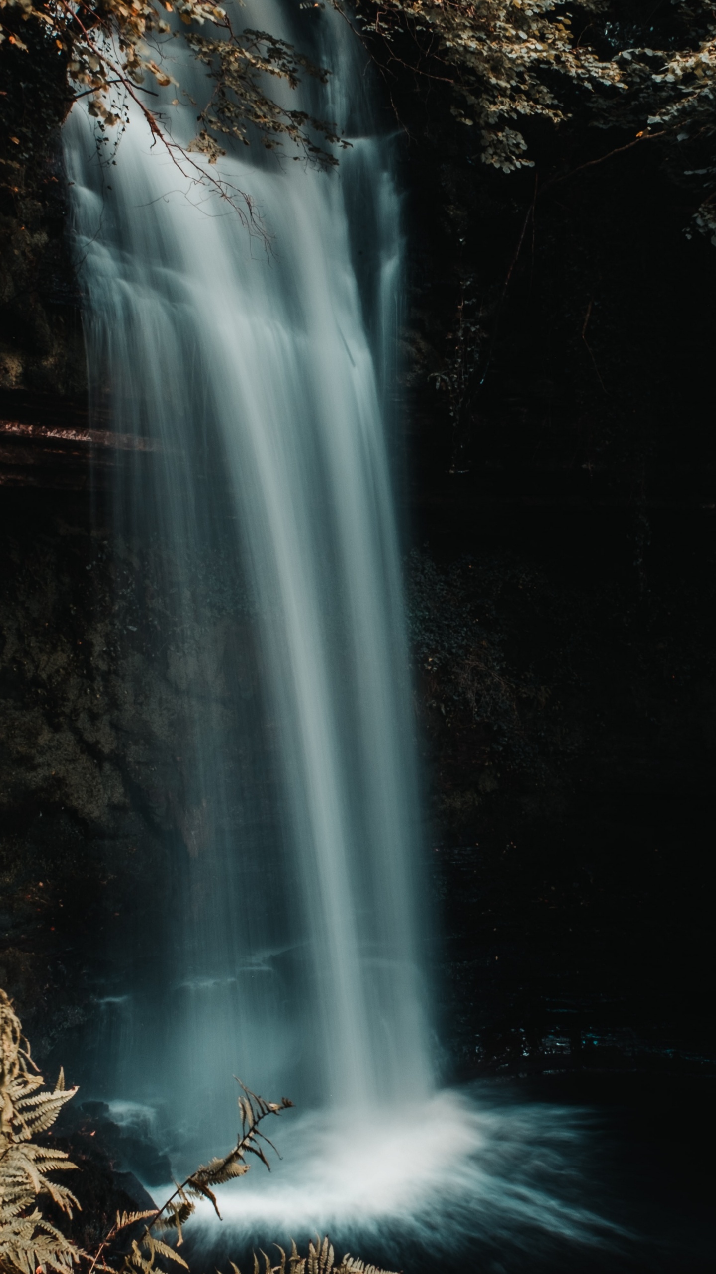 Nature, Paysage Naturel, Les Ressources en Eau, Cours D'eau, Hamburger. Wallpaper in 1440x2560 Resolution