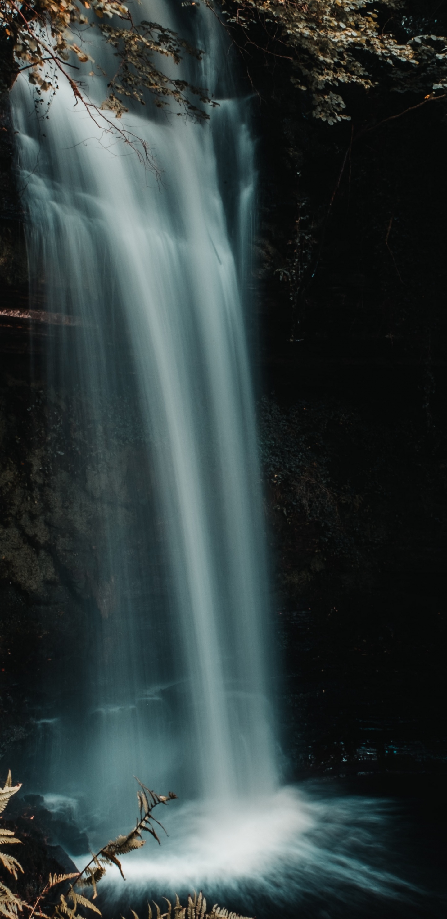 Nature, Paysage Naturel, Les Ressources en Eau, Cours D'eau, Hamburger. Wallpaper in 1440x2960 Resolution
