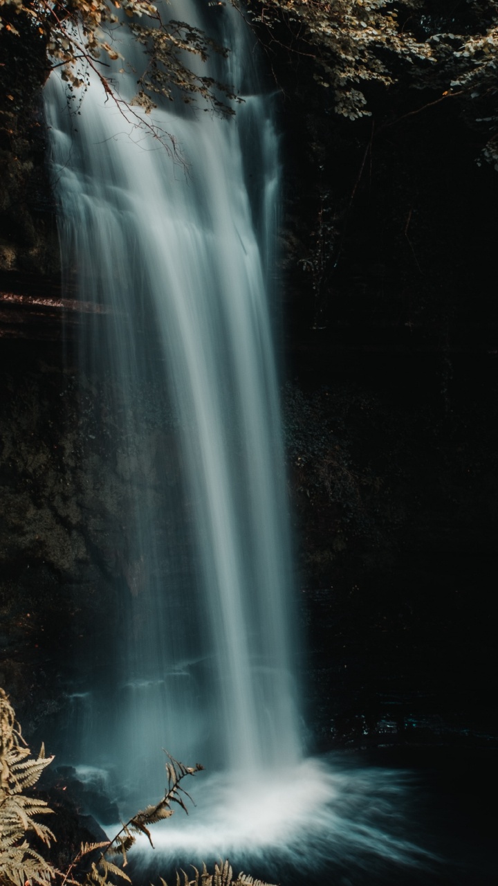 性质, 自然景观, 水资源, 水道, 汉堡包 壁纸 720x1280 允许