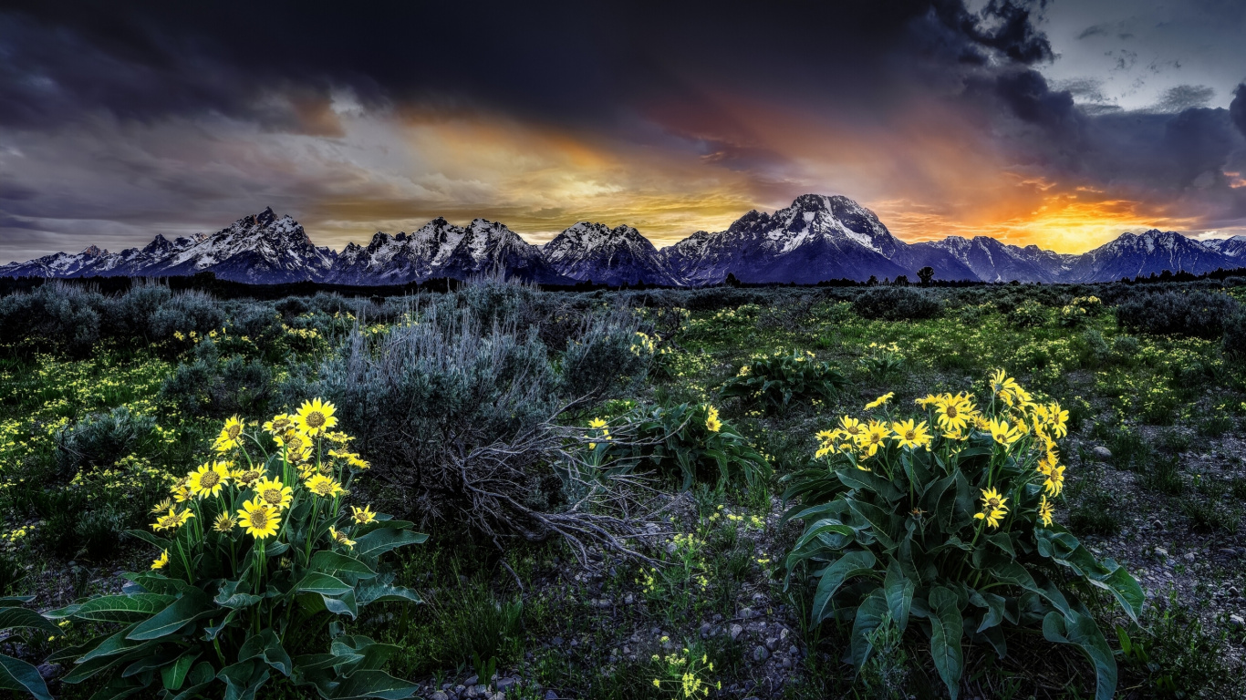 Grand Teton National Park, Grand Teton, Mount Moran, Jenny Lake, Snake River. Wallpaper in 1366x768 Resolution