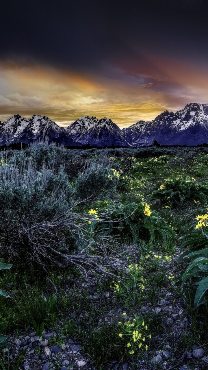 Grand Teton National Park, Grand Teton, Mount Moran, Jenny Lake, Snake River. Wallpaper in 720x1280 Resolution