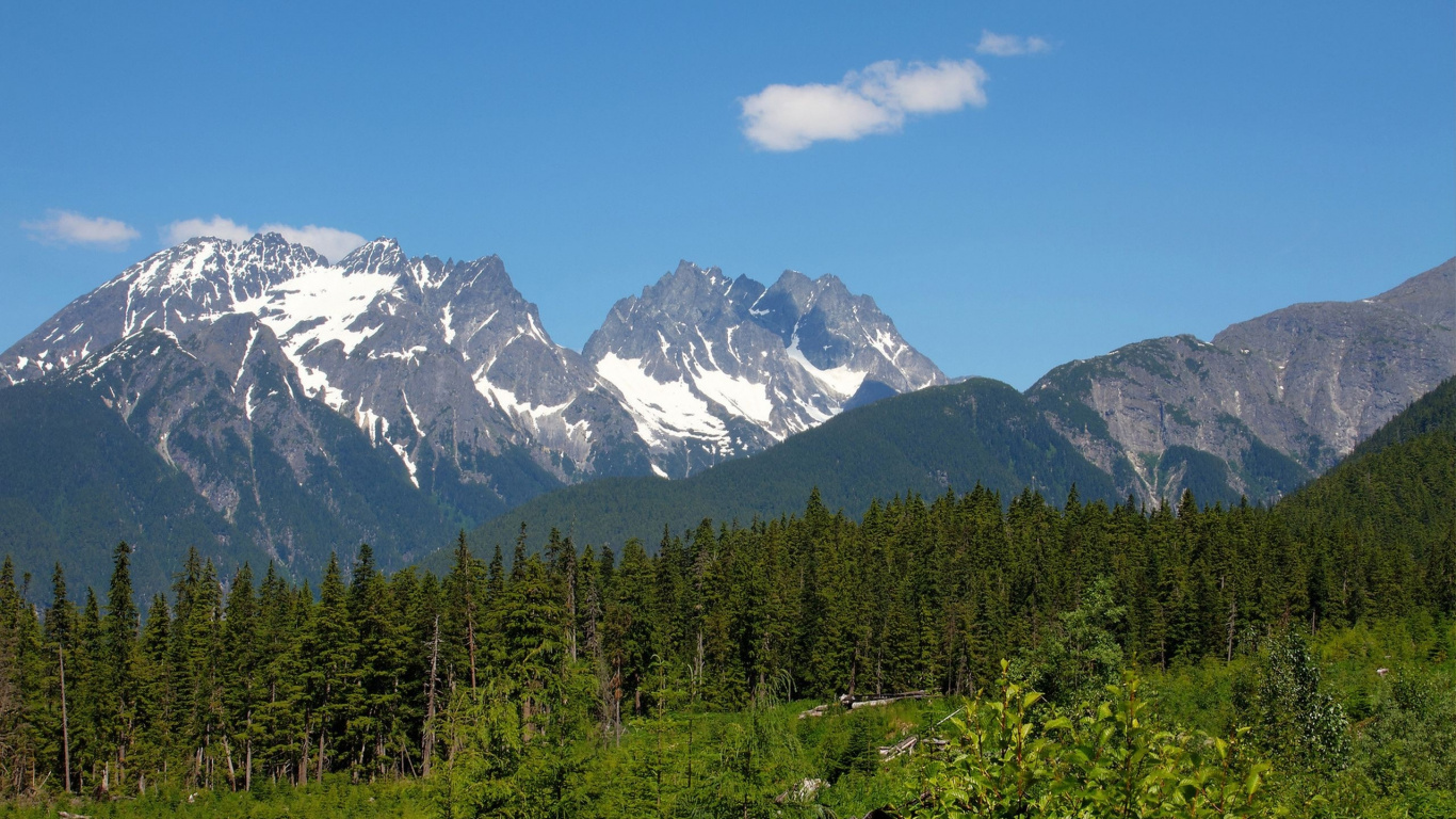 Green Trees Near Snow Covered Mountain During Daytime. Wallpaper in 1366x768 Resolution