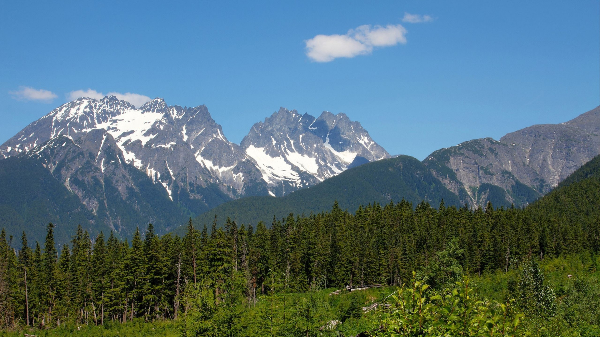 Green Trees Near Snow Covered Mountain During Daytime. Wallpaper in 1920x1080 Resolution