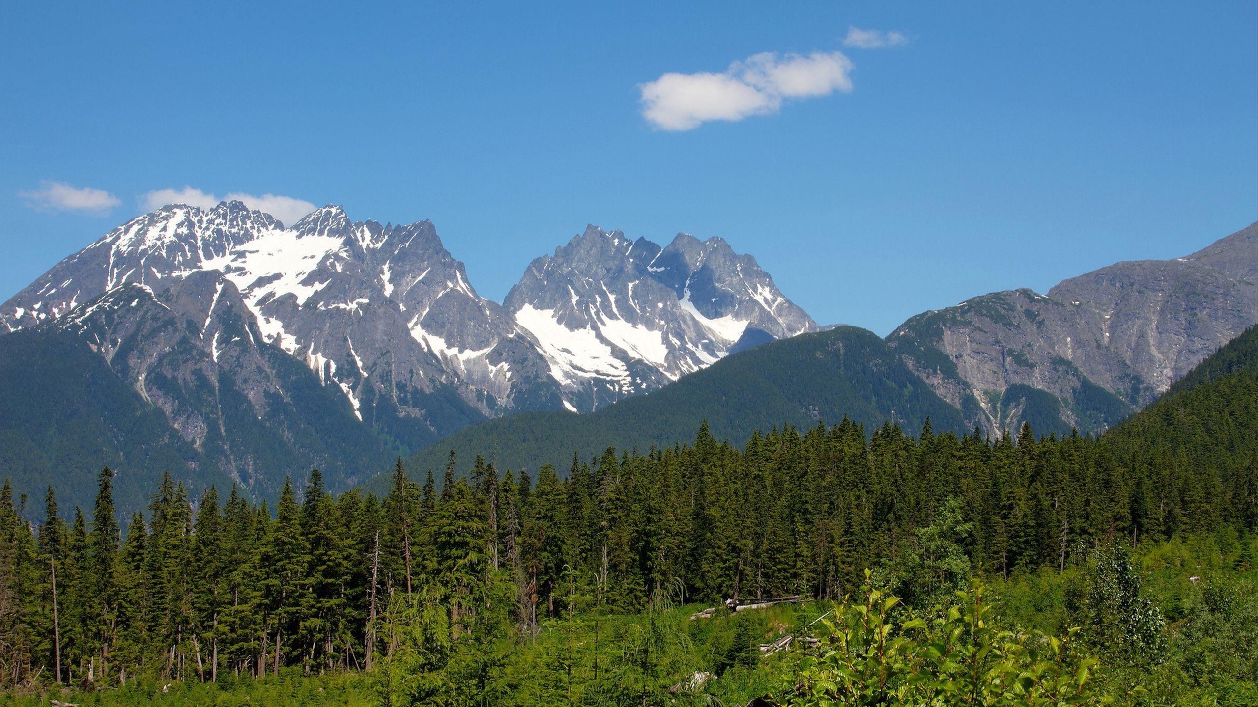 Green Trees Near Snow Covered Mountain During Daytime. Wallpaper in 2560x1440 Resolution