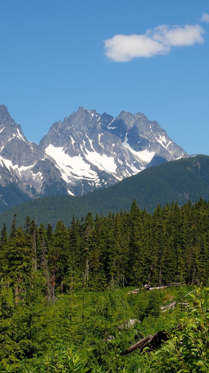 Green Trees Near Snow Covered Mountain During Daytime. Wallpaper in 720x1280 Resolution