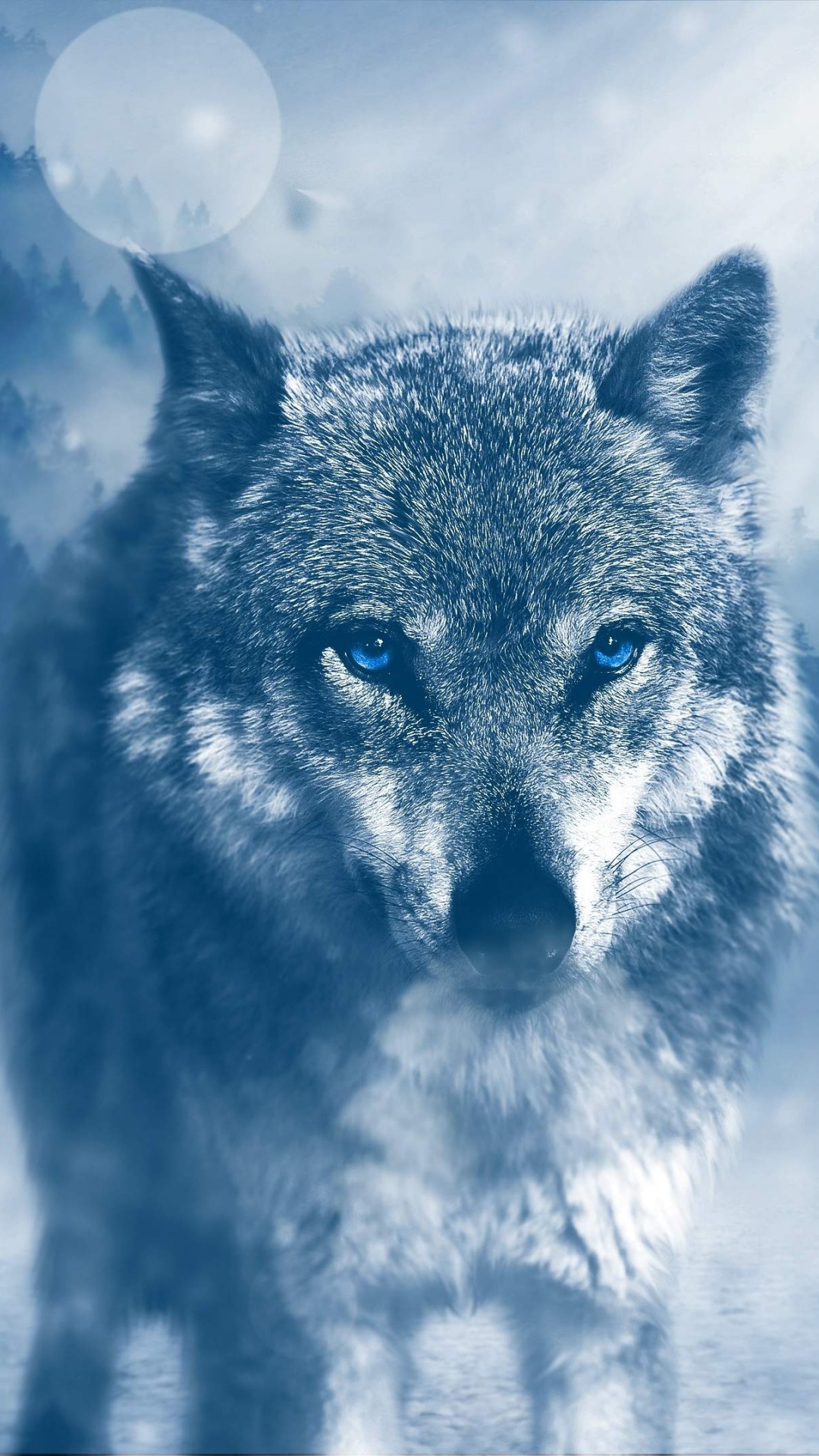 Grauer Wolf Auf Schneebedecktem Boden. Wallpaper in 1080x1920 Resolution
