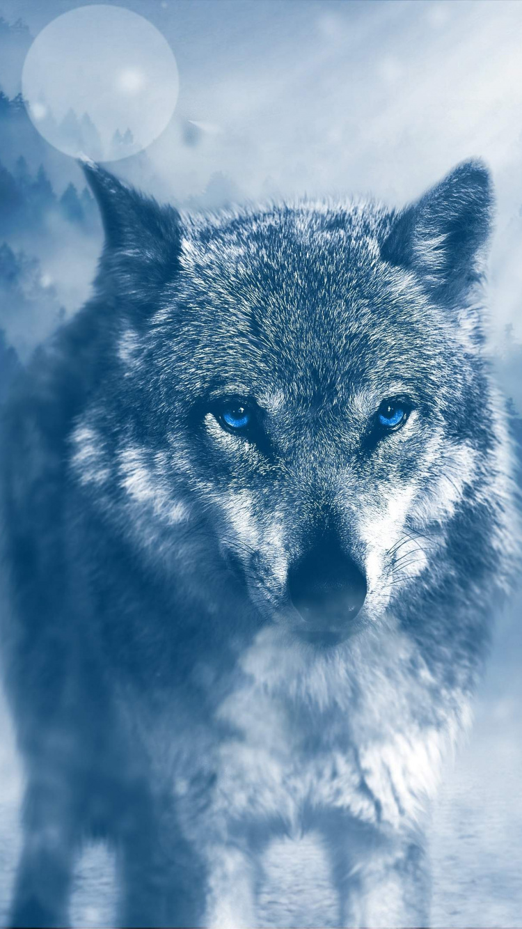Grauer Wolf Auf Schneebedecktem Boden. Wallpaper in 750x1334 Resolution