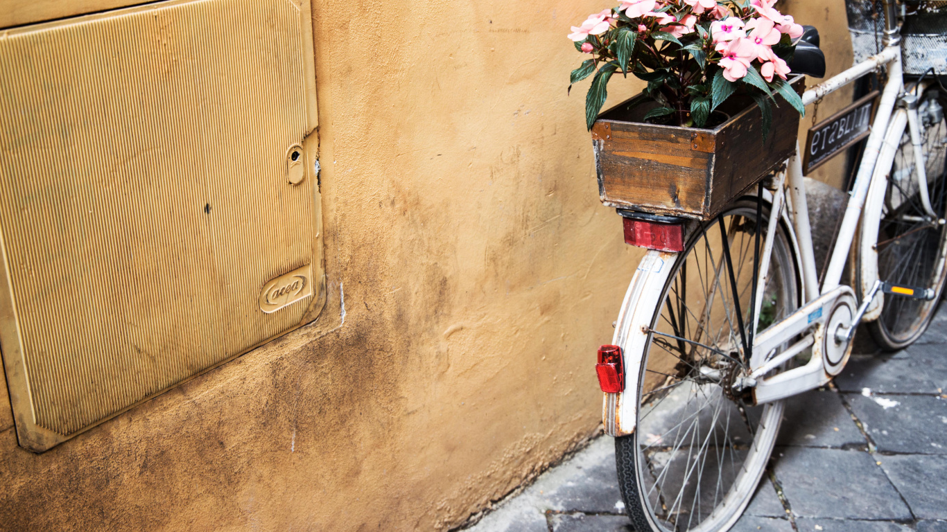 Rosa Und Weiße Blumen Auf Dem Fahrrad. Wallpaper in 1366x768 Resolution