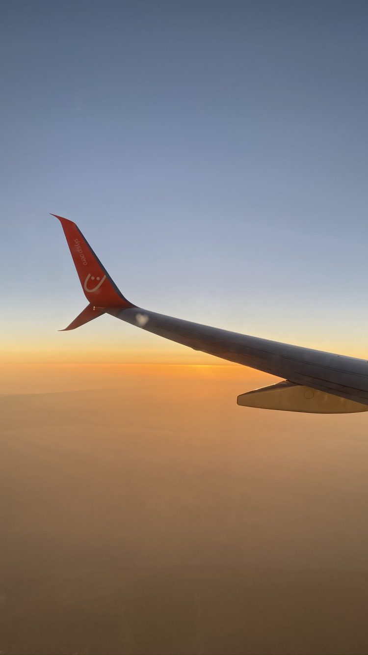 Air Voyage, Avion, Airbus A330, Les Avions à Fuselage Étroit, Aviation. Wallpaper in 750x1334 Resolution