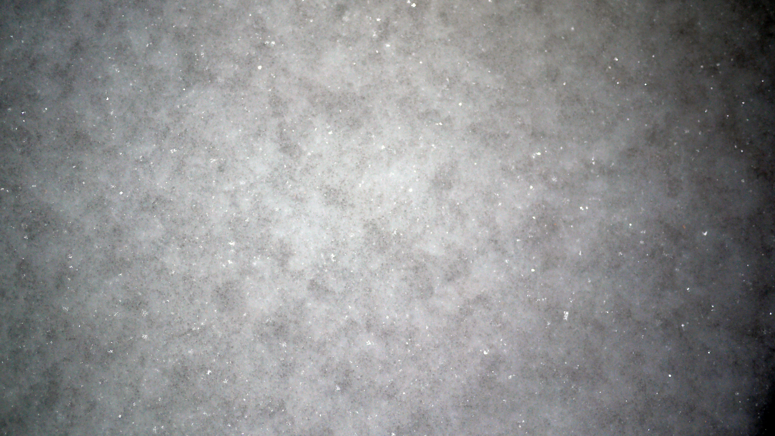 Personne en Chaussures Noires Debout Sur un Sol en Béton Gris. Wallpaper in 2560x1440 Resolution