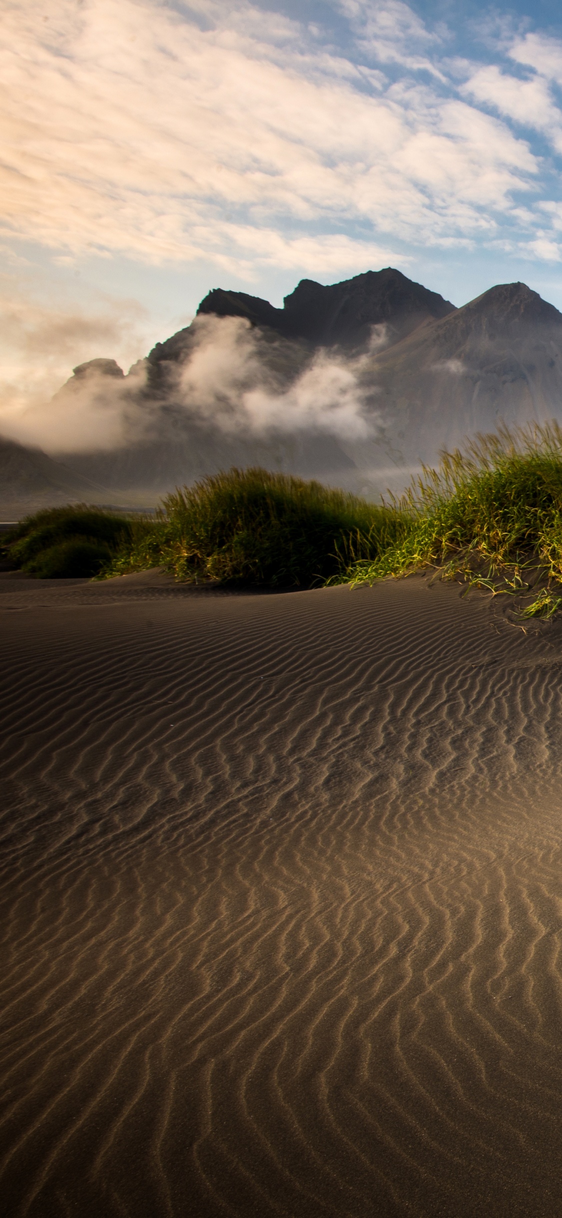 Herbe Verte Sur Sable Brun Sous Ciel Bleu Pendant la Journée. Wallpaper in 1125x2436 Resolution