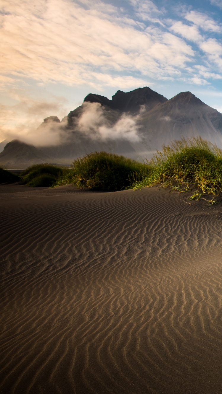 Green Grass on Brown Sand Under Blue Sky During Daytime. Wallpaper in 750x1334 Resolution