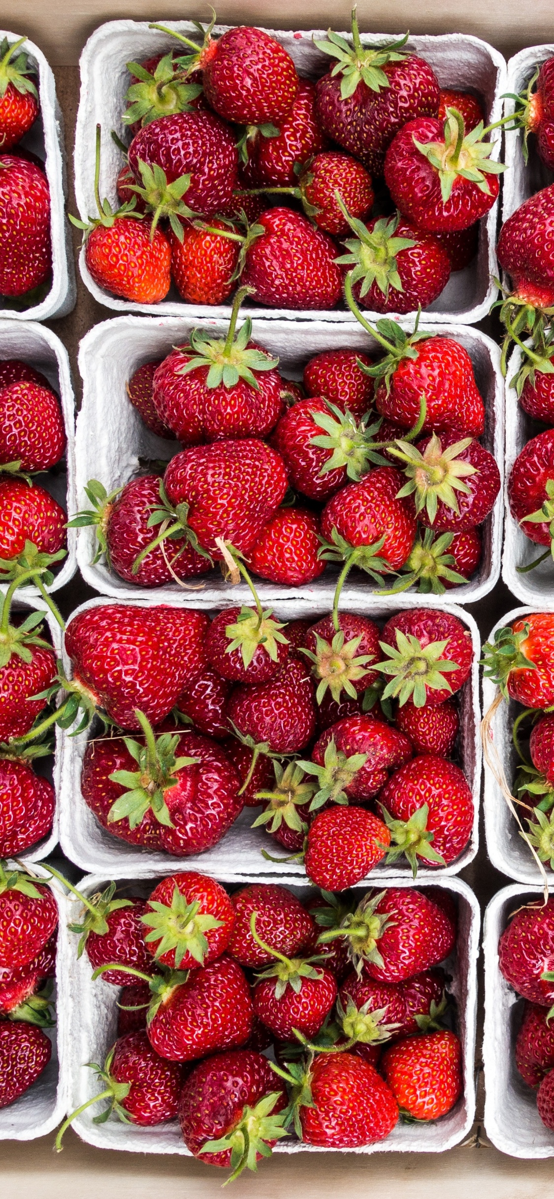 Rote Erdbeeren im Durchsichtigen Plastikbehälter. Wallpaper in 1125x2436 Resolution
