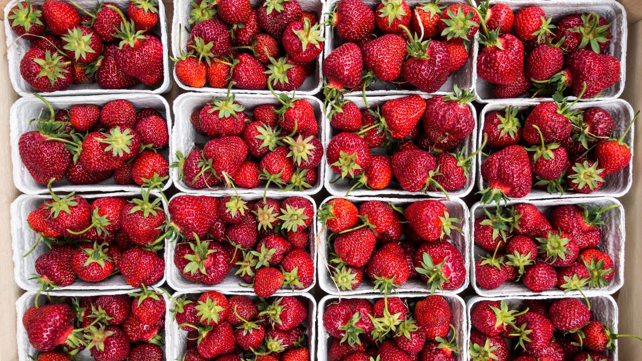 Rote Erdbeeren im Durchsichtigen Plastikbehälter. Wallpaper in 1280x720 Resolution