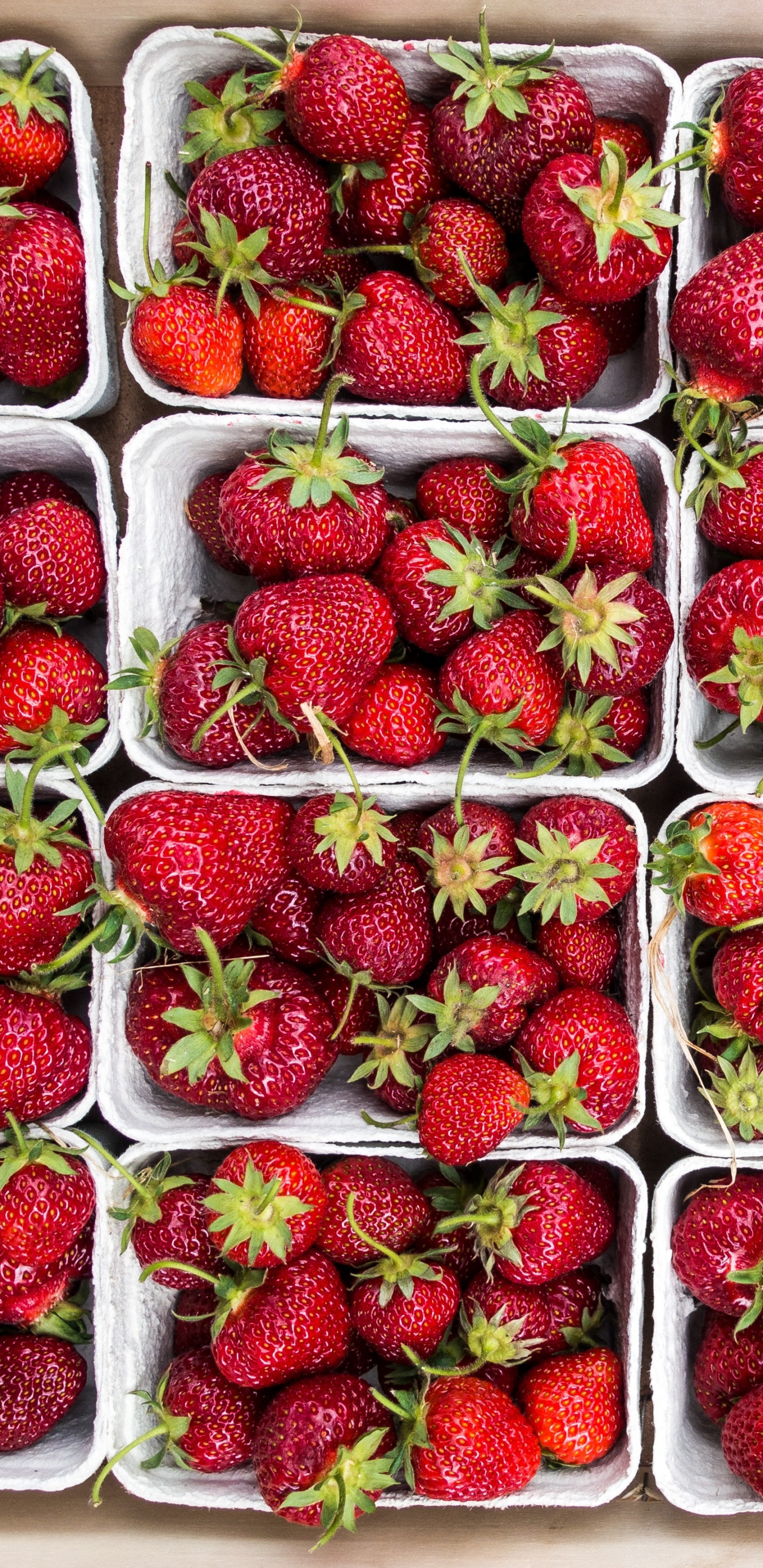 Rote Erdbeeren im Durchsichtigen Plastikbehälter. Wallpaper in 1440x2960 Resolution