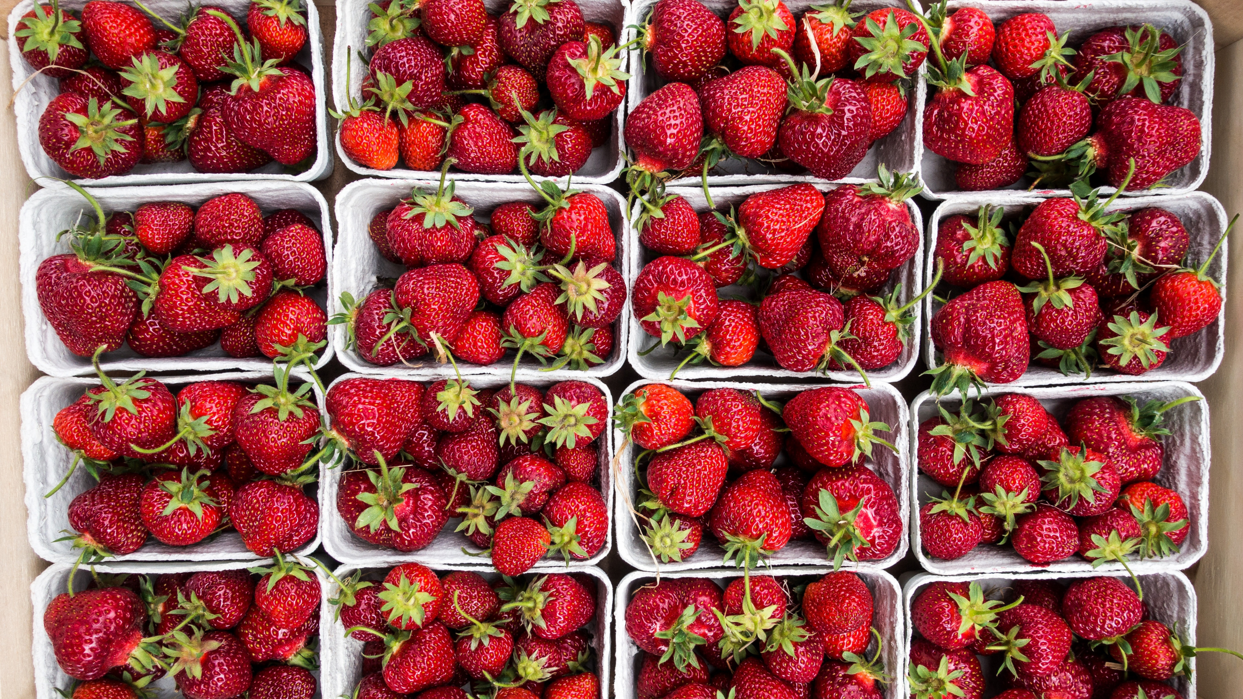 Rote Erdbeeren im Durchsichtigen Plastikbehälter. Wallpaper in 2560x1440 Resolution