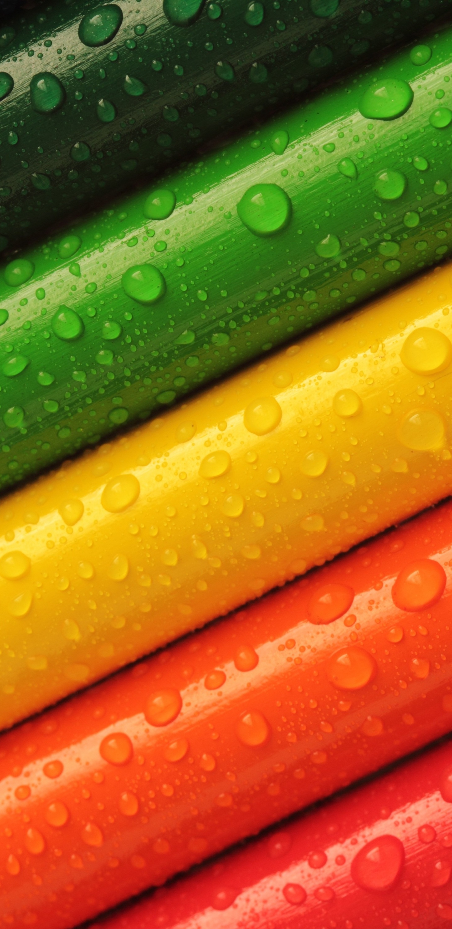 Blue Green Color Red, Color, Blue, Red, Blue Green. Wallpaper in 1440x2960 Resolution