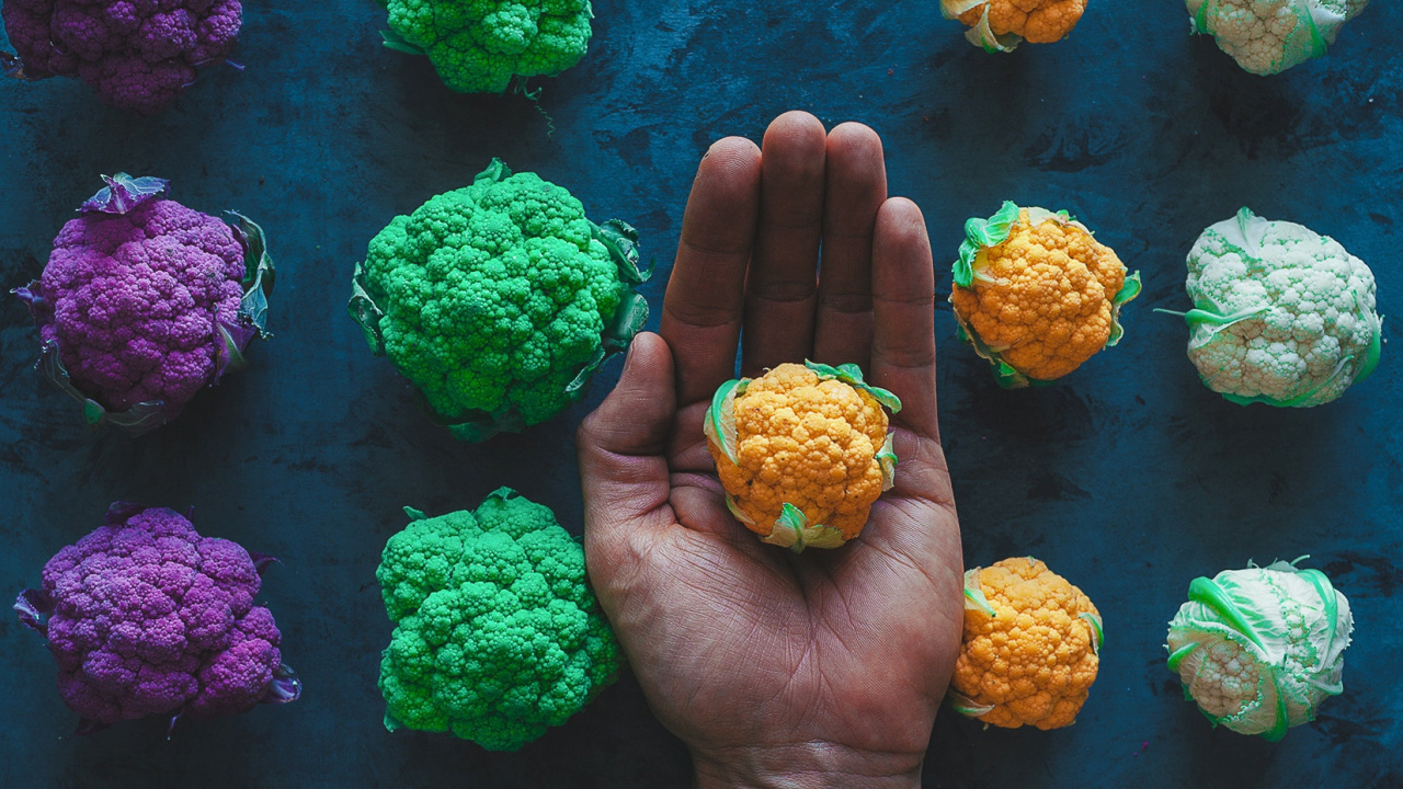 Person Holding Green and Purple Flowers. Wallpaper in 1280x720 Resolution