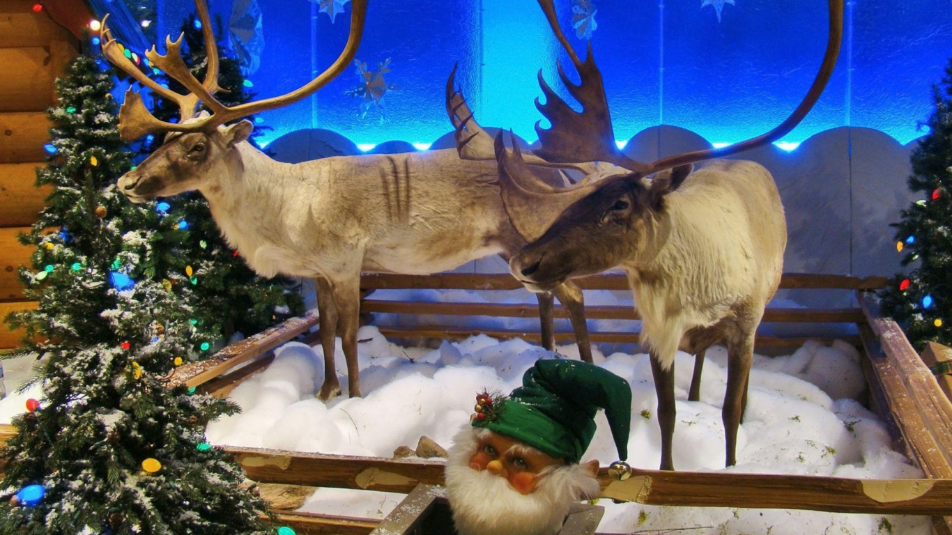 Rentier, Tierwelt, Weihnachtsbaum, Weihnachtsdekoration, Geschenk. Wallpaper in 1366x768 Resolution