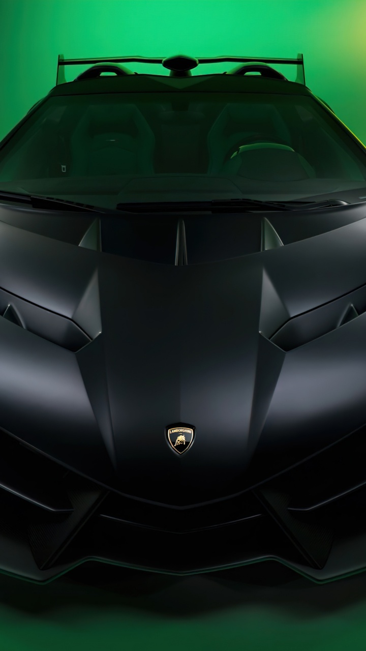 Lamborghini Black, Lamborghini Aventador SV, Lamborghini, Lamborghini Veneno, Lamborghini Urus. Wallpaper in 720x1280 Resolution
