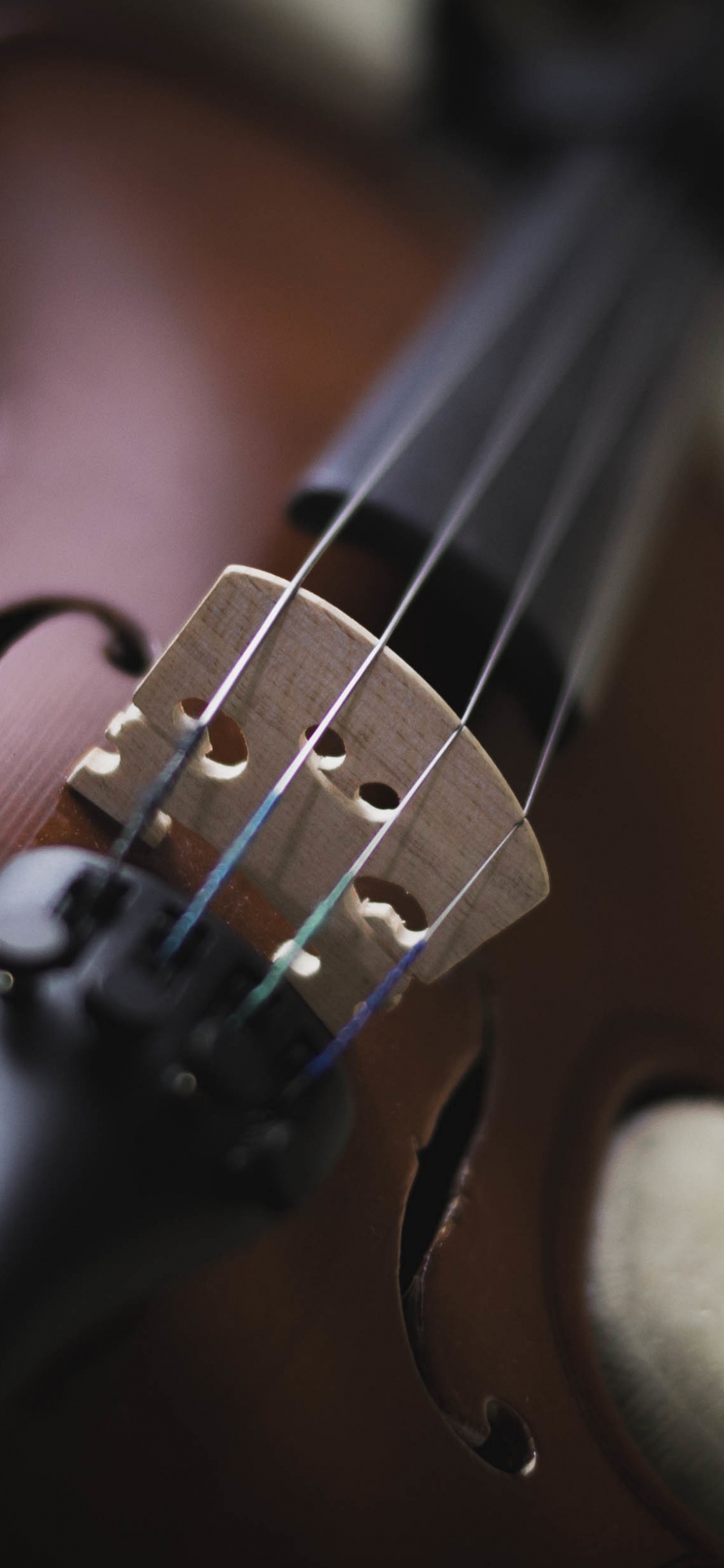 Violin, String Instrument, Musical Instrument, Music, Bowed String Instrument. Wallpaper in 1125x2436 Resolution