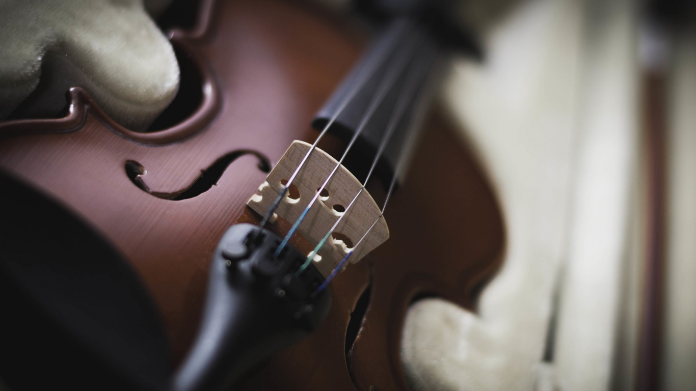 Violin, String Instrument, Musical Instrument, Music, Bowed String Instrument. Wallpaper in 1366x768 Resolution