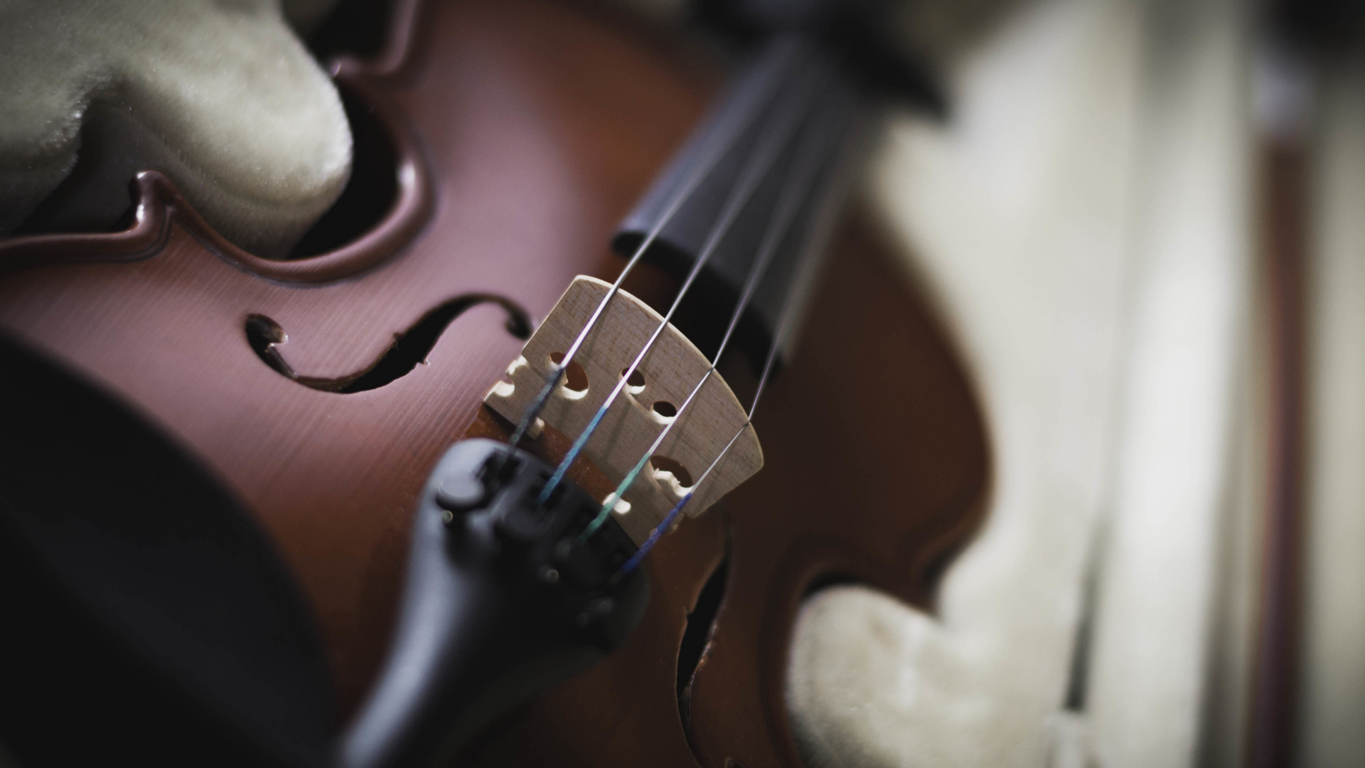 Violin, String Instrument, Musical Instrument, Music, Bowed String Instrument. Wallpaper in 1920x1080 Resolution