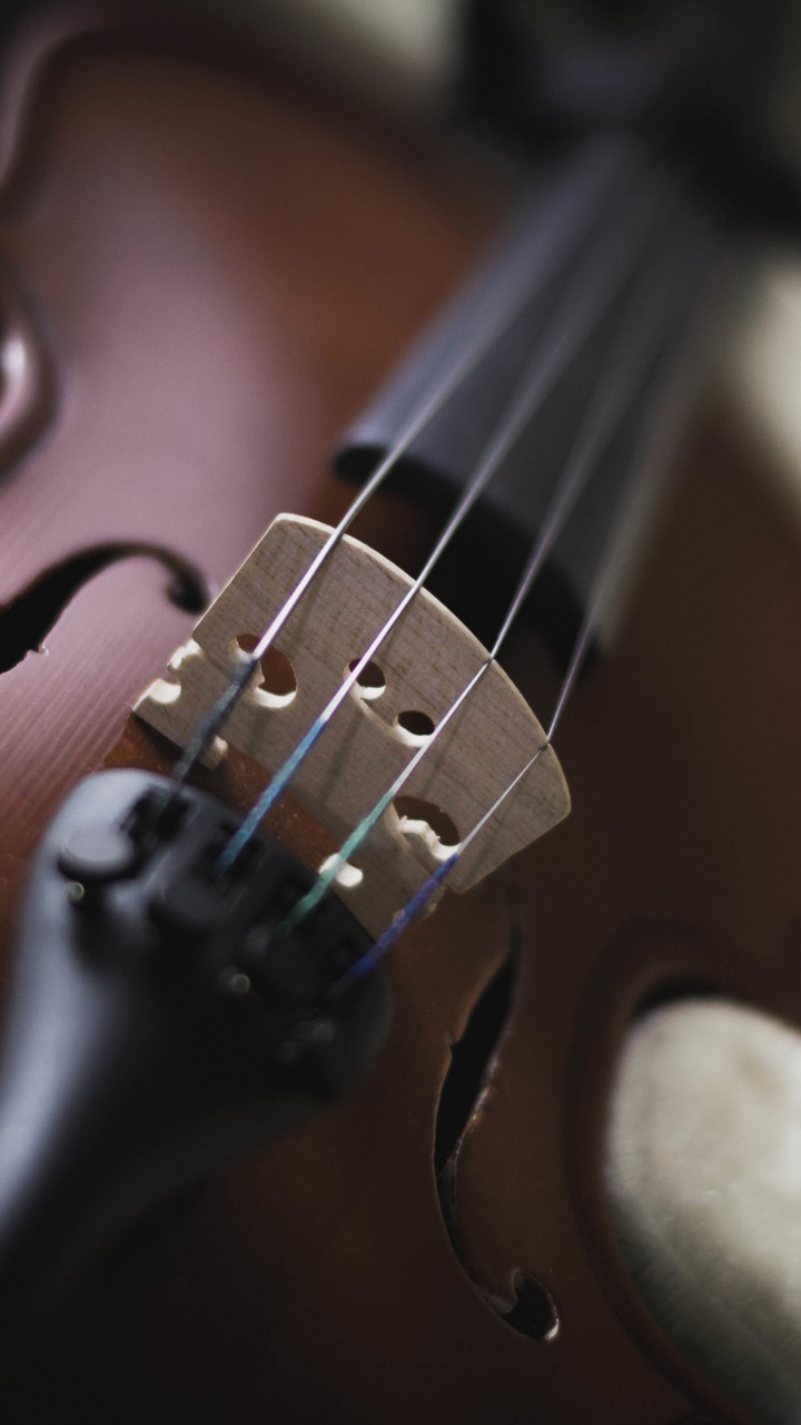 Violin, String Instrument, Musical Instrument, Music, Bowed String Instrument. Wallpaper in 720x1280 Resolution