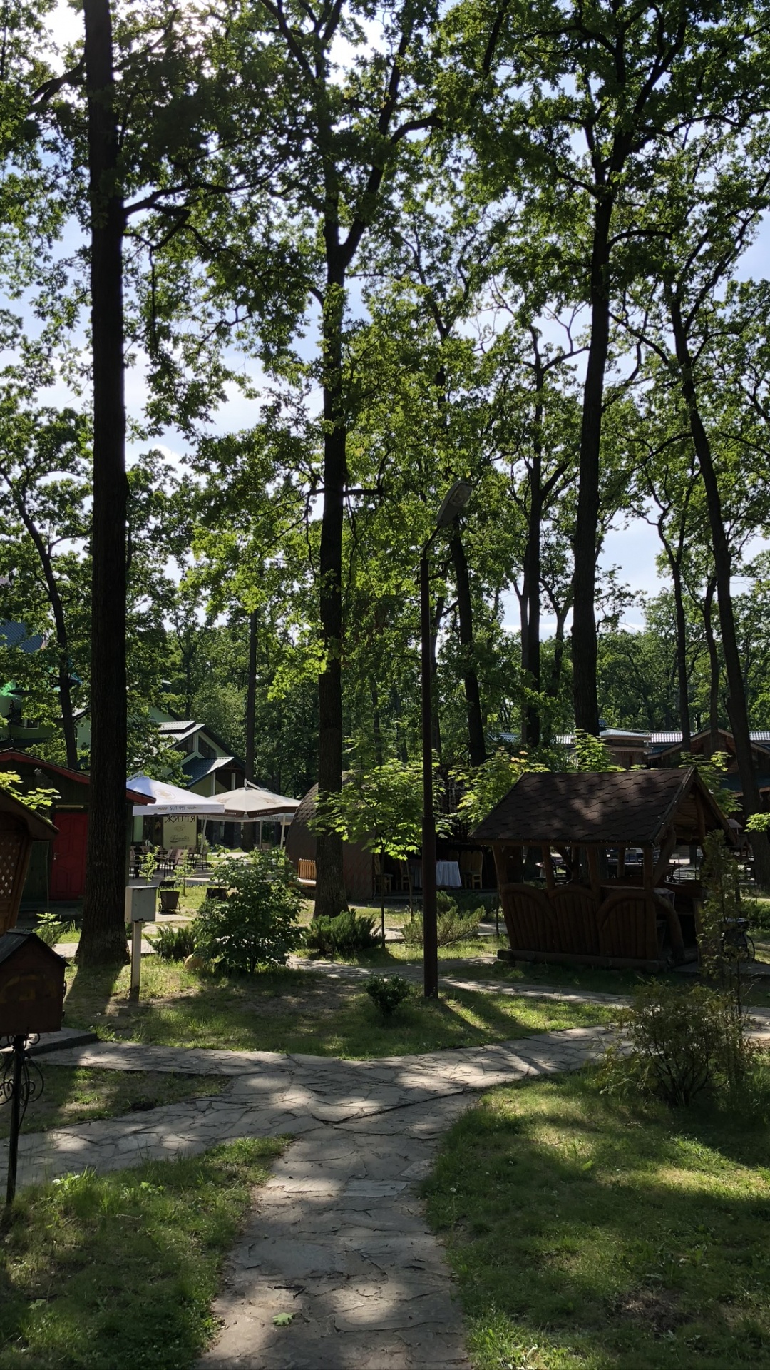 State Park, Grundstück, Garden, Park, Stamm. Wallpaper in 1080x1920 Resolution