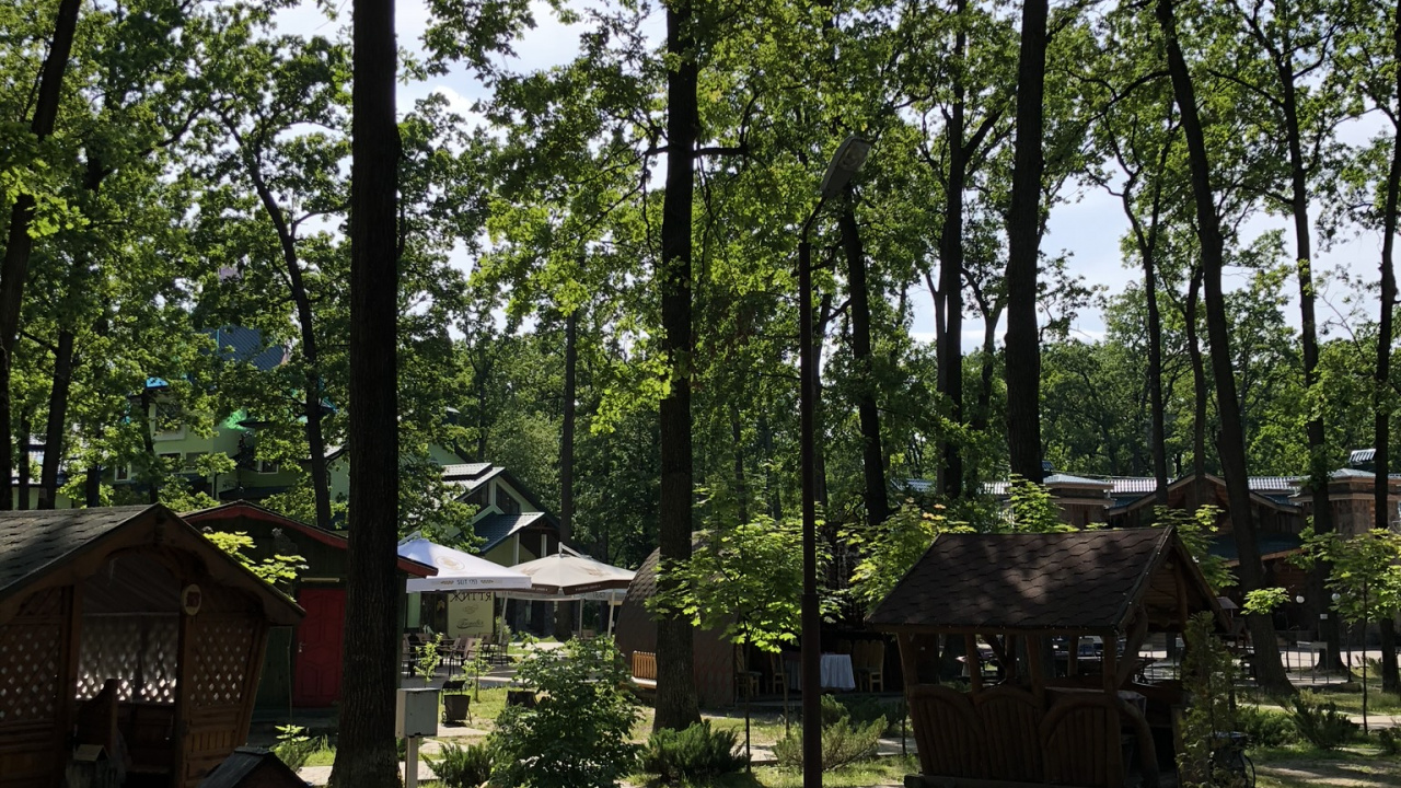 State Park, Grundstück, Garden, Park, Stamm. Wallpaper in 1280x720 Resolution