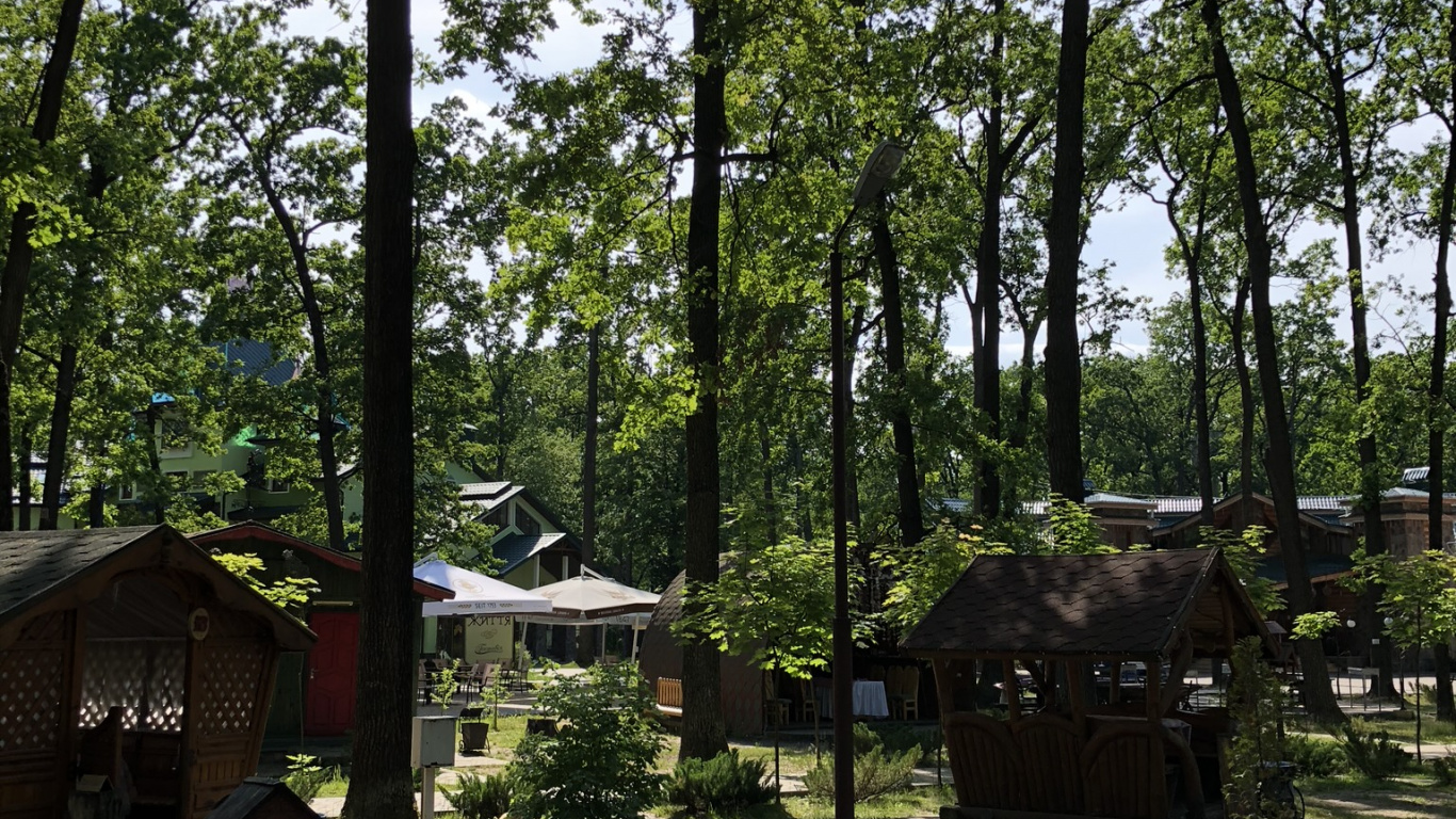 Woodland, State Park, Land Lot, Shade, Garden. Wallpaper in 1366x768 Resolution