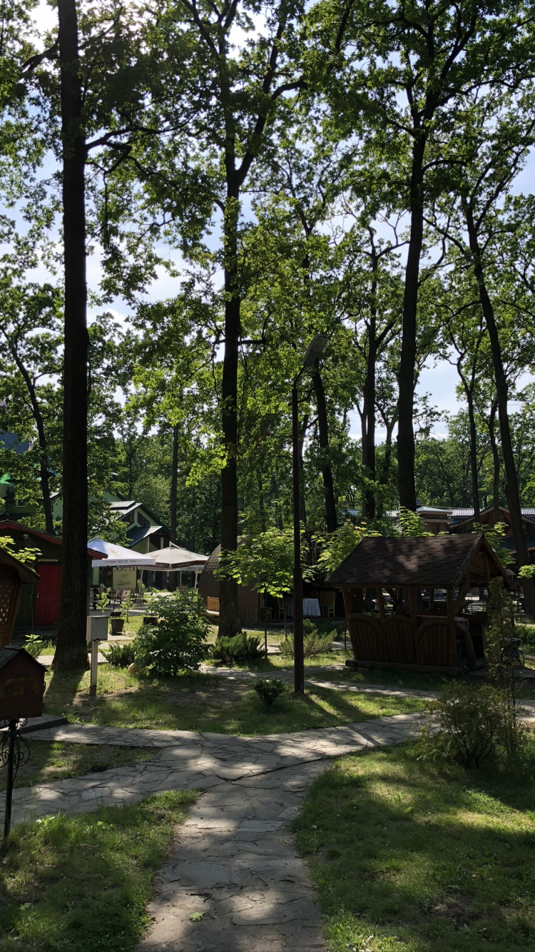 Woodland, State Park, Land Lot, Shade, Garden. Wallpaper in 750x1334 Resolution