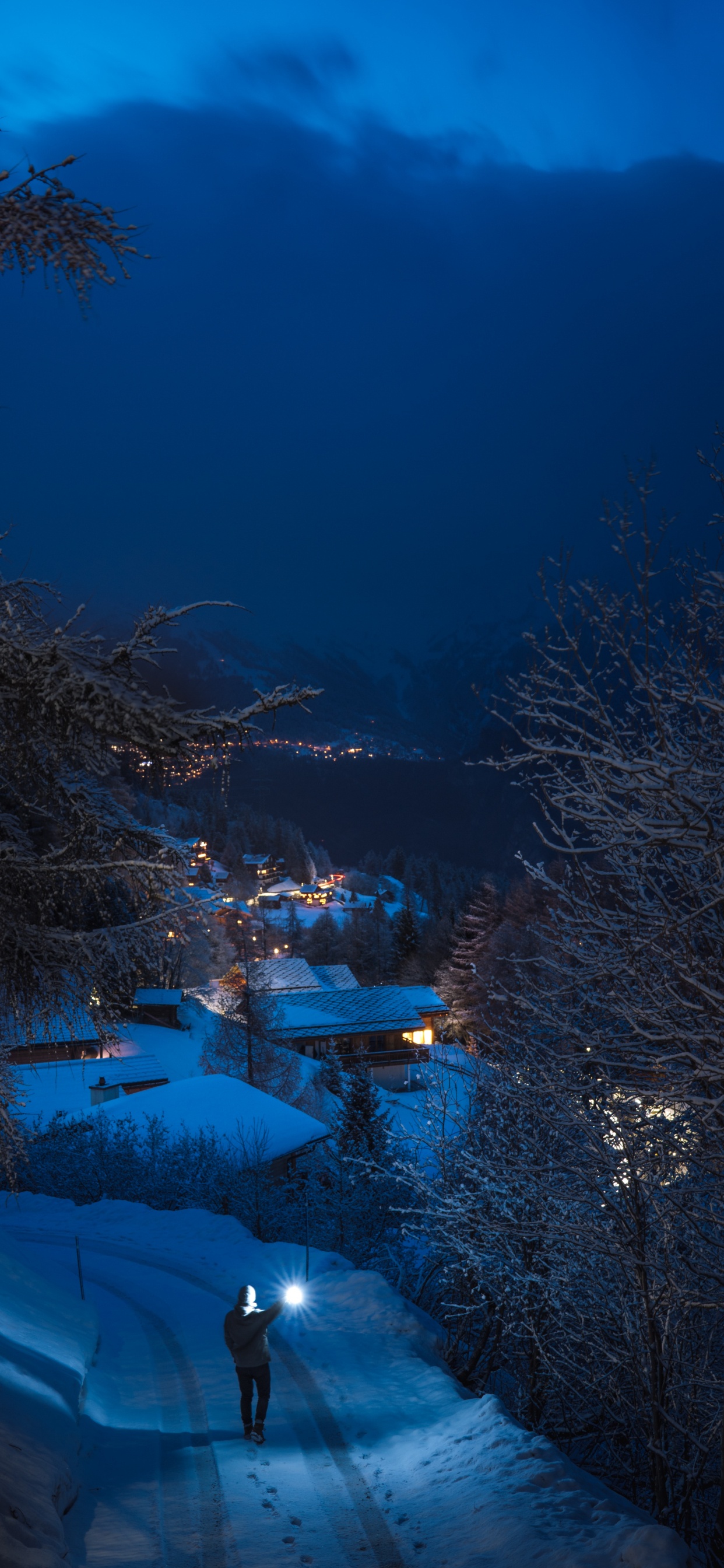 Winter, Einfrieren, Abend, Baum, Wasser. Wallpaper in 1242x2688 Resolution