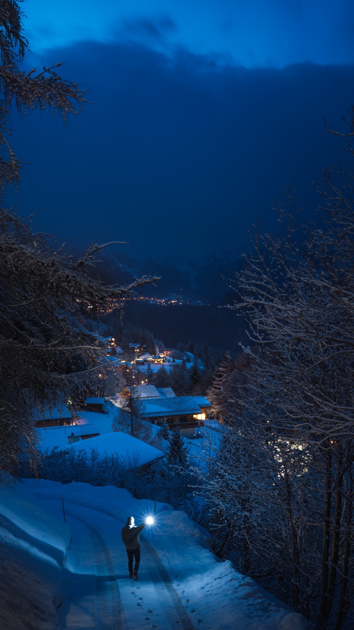 Winter, Freezing, Evening, Tree, Water. Wallpaper in 720x1280 Resolution