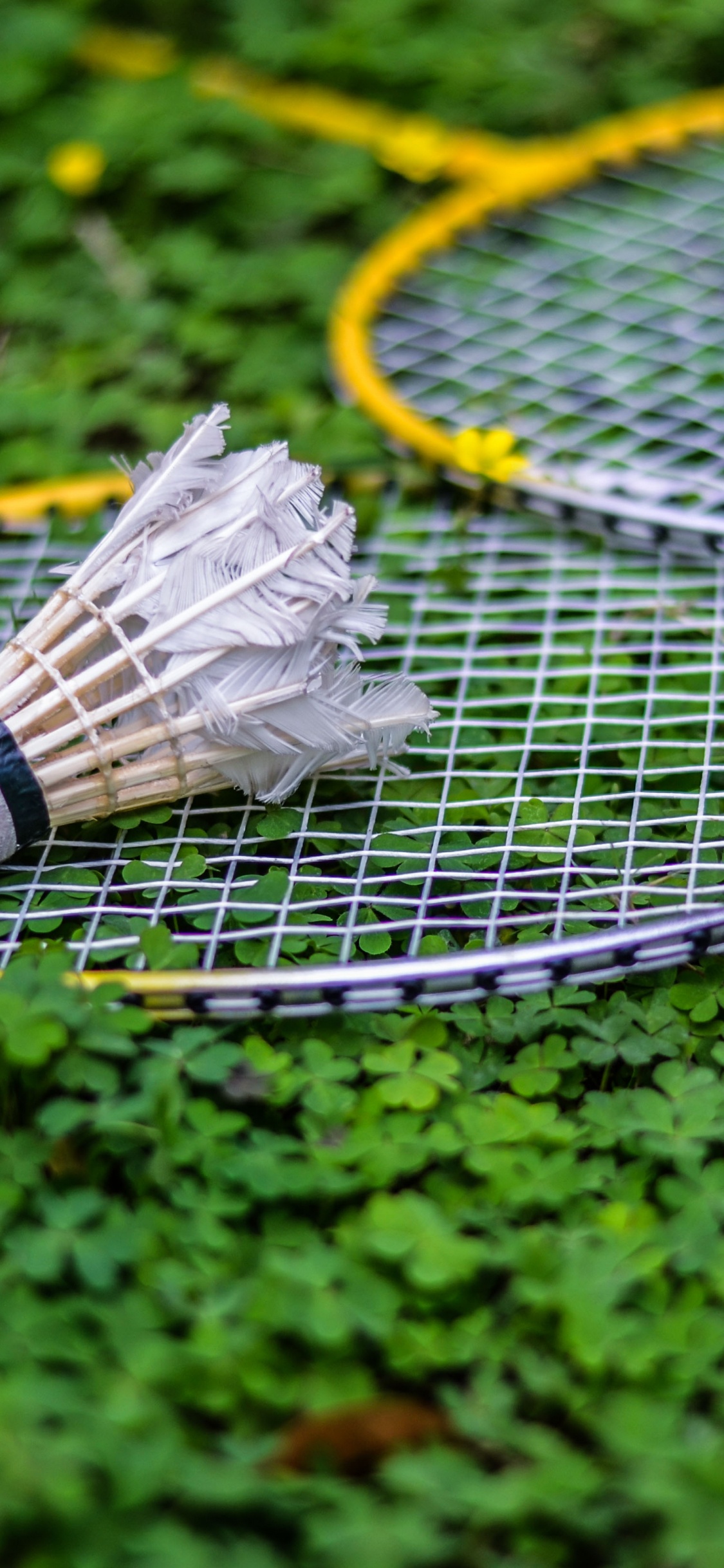 Raqueta de Tenis Blanca y Negra Sobre Pasto Verde. Wallpaper in 1125x2436 Resolution