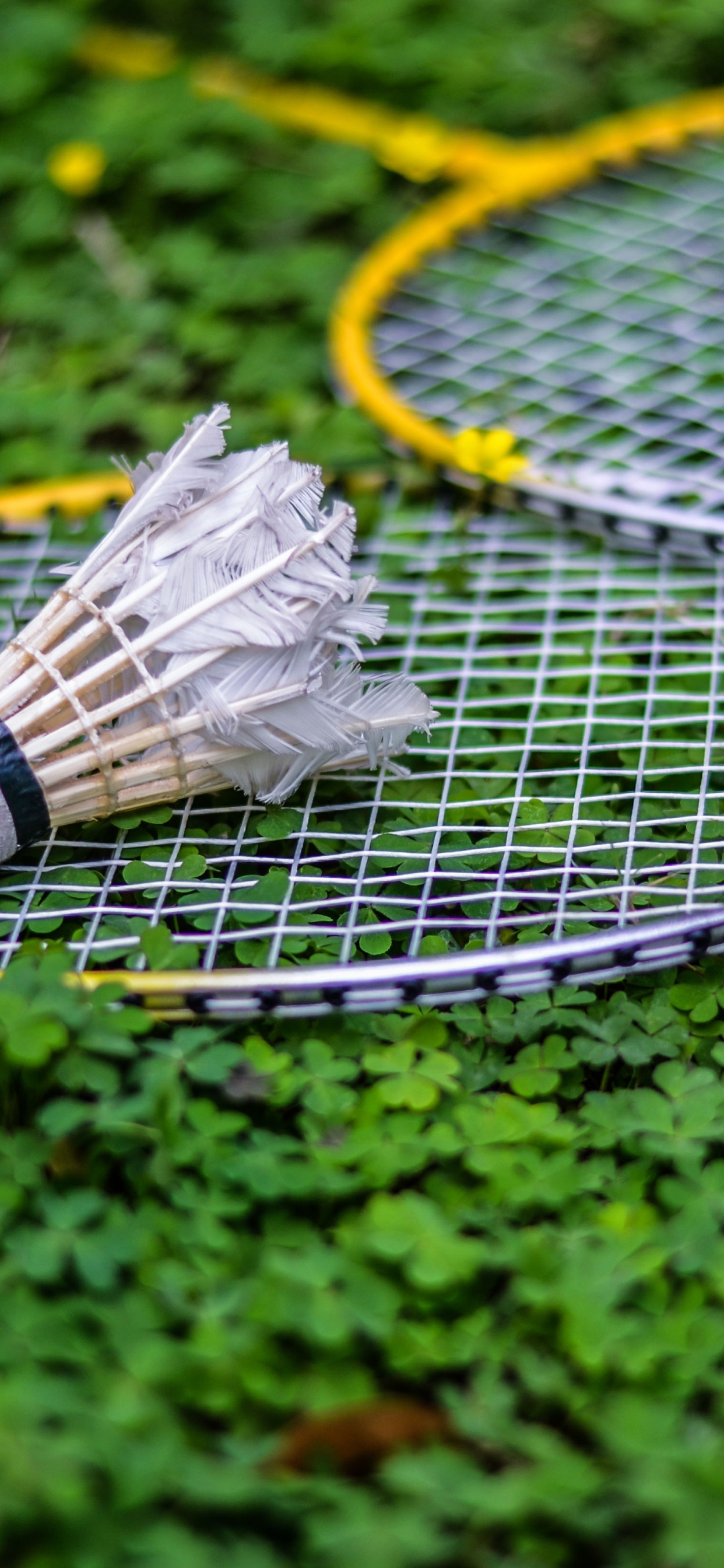 Weißer Und Schwarzer Tennisschläger Auf Grünem Gras. Wallpaper in 1242x2688 Resolution