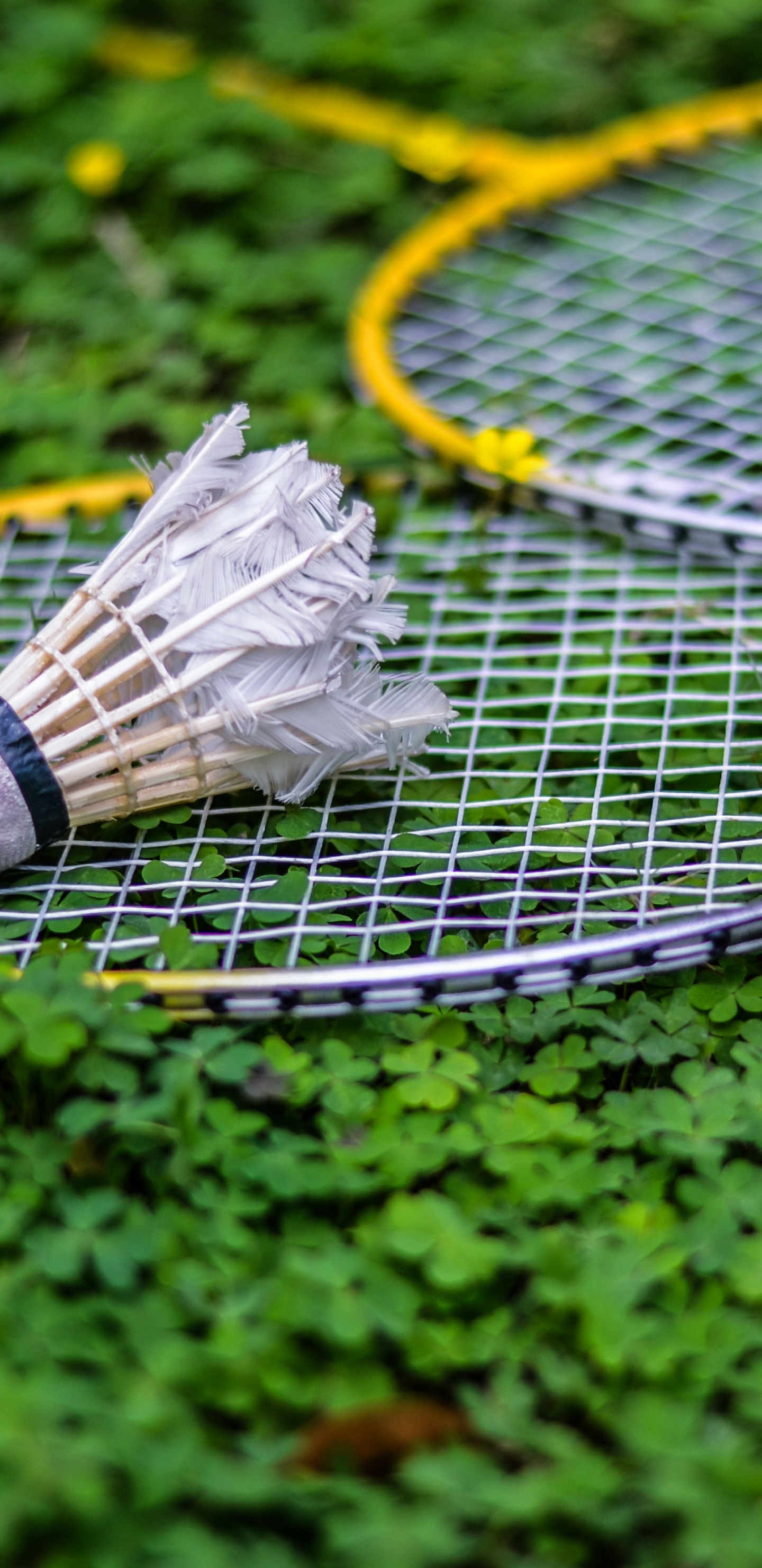White and Black Tennis Racket on Green Grass. Wallpaper in 1440x2960 Resolution