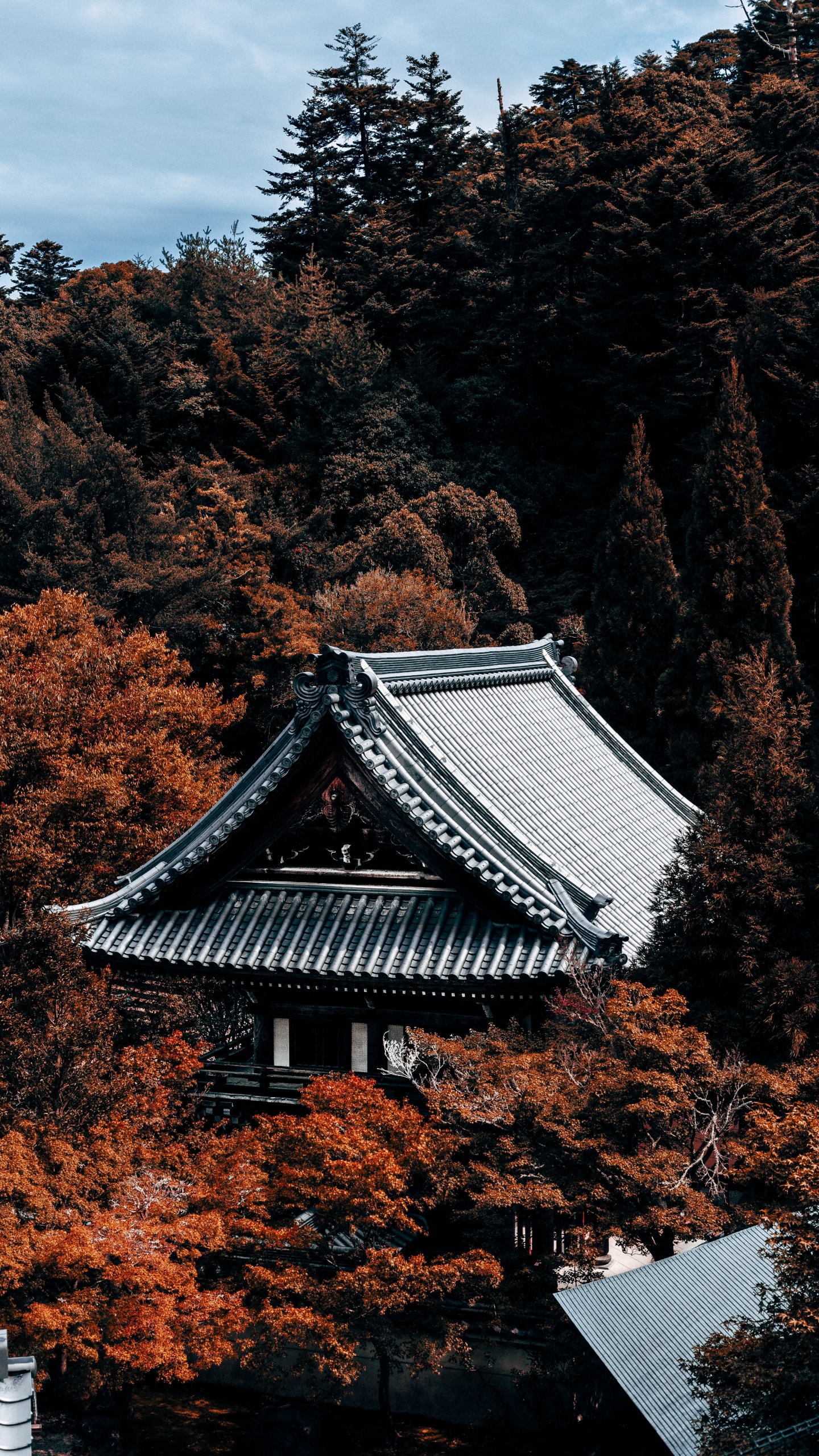 White and Black Pagoda Temple Surrounded by Brown Trees. Wallpaper in 1440x2560 Resolution