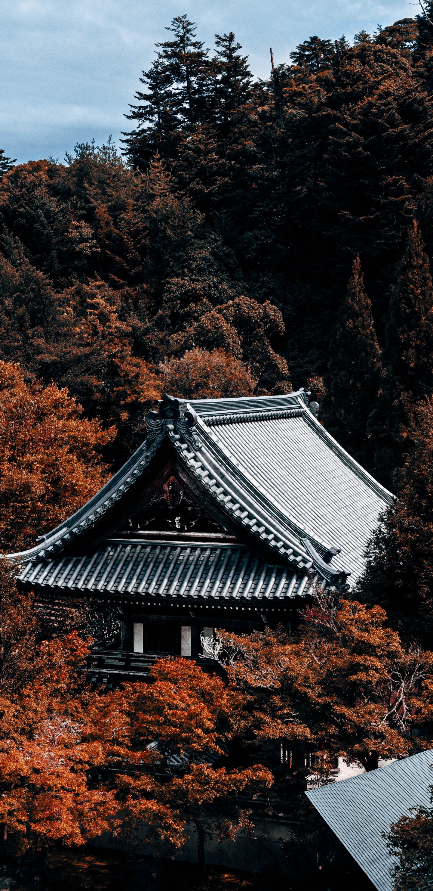 Download 1440x2960 Wallpaper White and Black Pagoda Temple Surrounded by Brown Trees White and Black Pagoda Temple Surrounded by Brown Trees. Wallpaper in 1440x2960 Resolution
