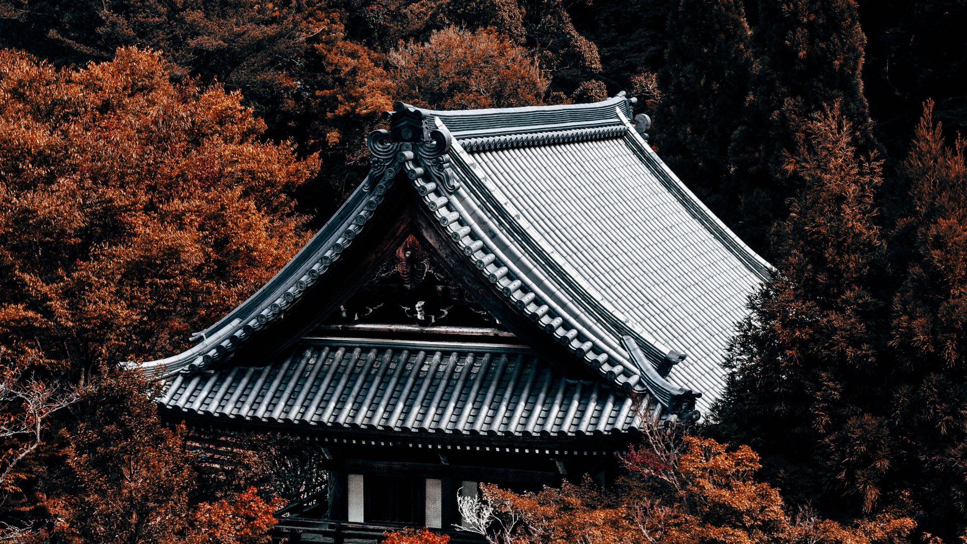 White and Black Pagoda Temple Surrounded by Brown Trees. Wallpaper in 1920x1080 Resolution