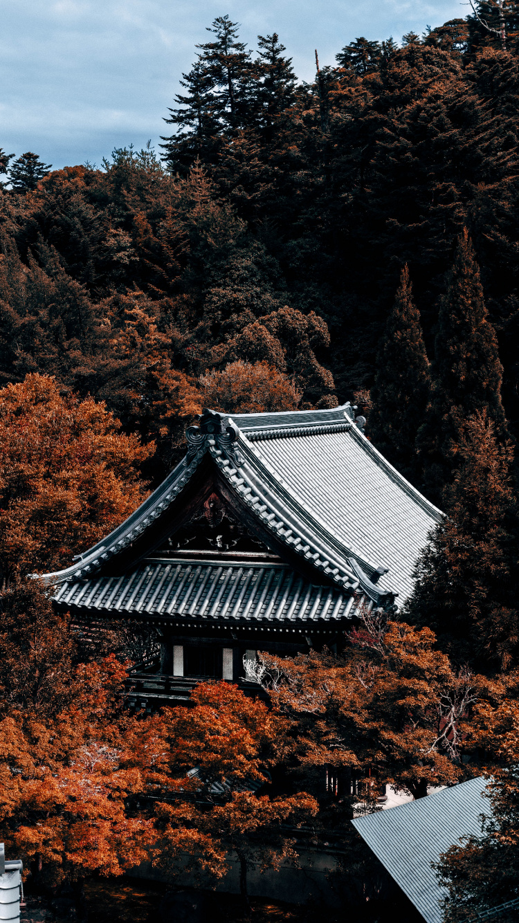 White and Black Pagoda Temple Surrounded by Brown Trees. Wallpaper in 750x1334 Resolution